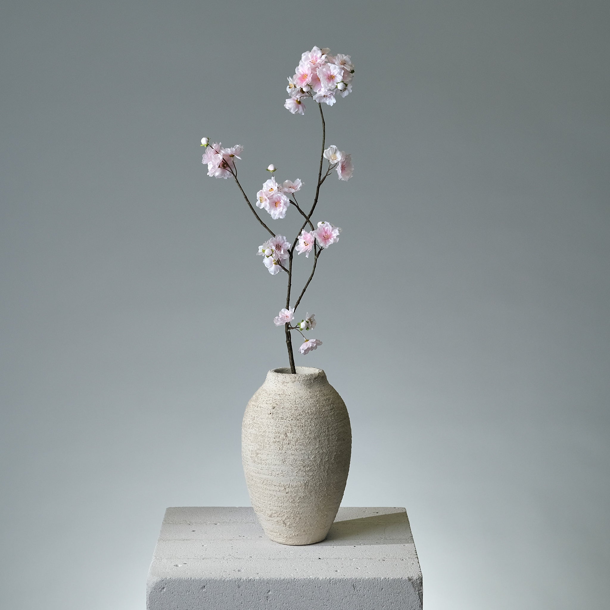 Körsbärsblomma Ljusrosa - FLORISSMA