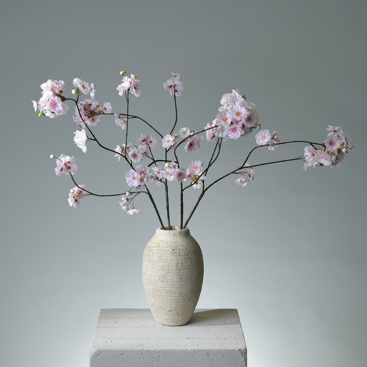 Körsbärsblomma Ljusrosa - FLORISSMA