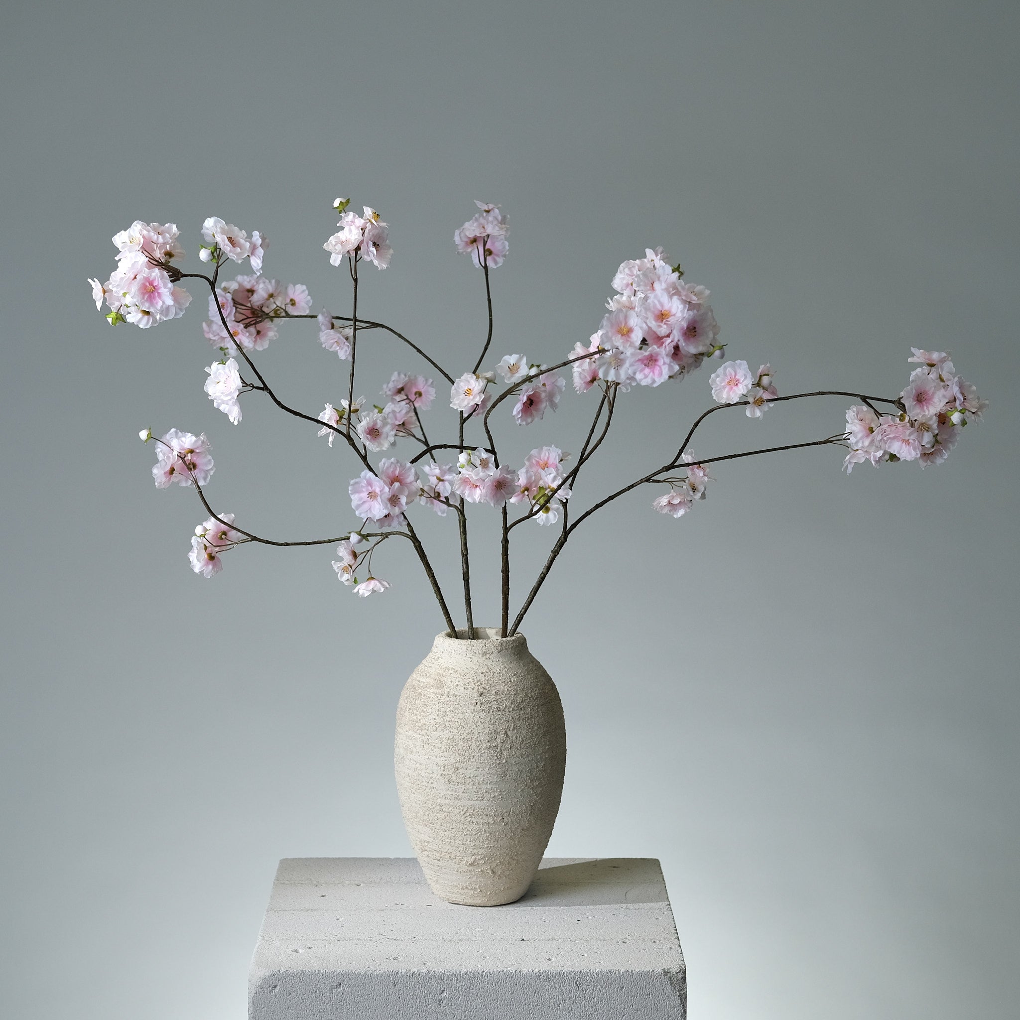Körsbärsblomma Ljusrosa - FLORISSMA