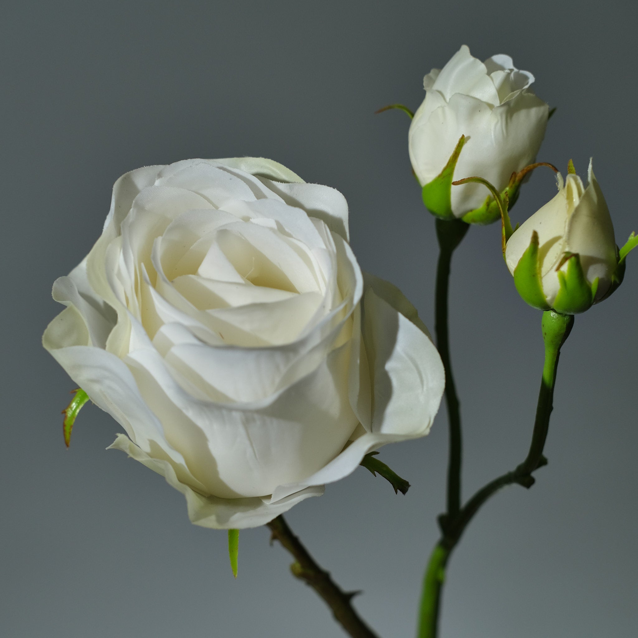 Konstgjord Ros i färgen cremé med Knoppar. Bilden visar en detaljbild - FLORISSMA