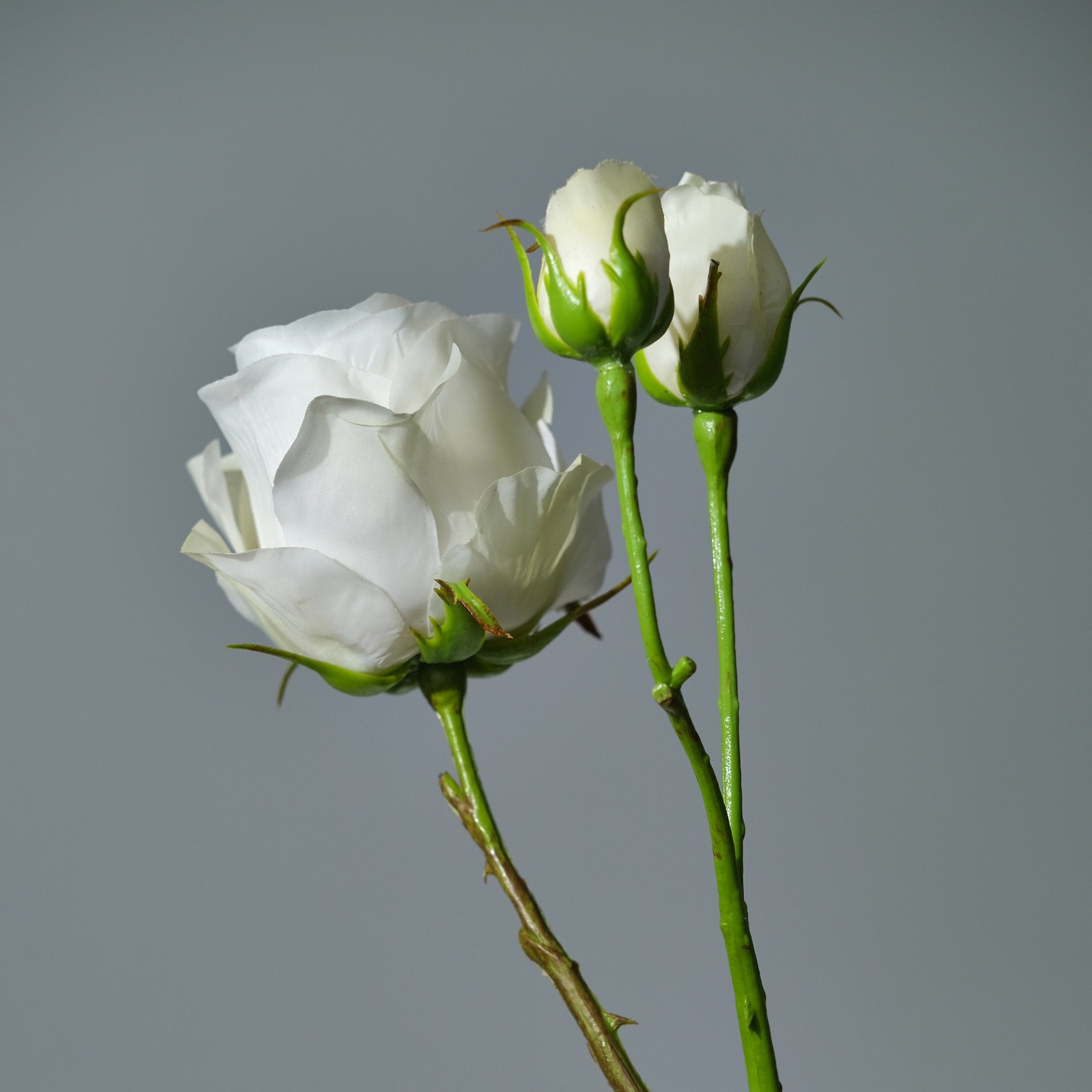 Konstgjord Ros i färgen cremé med Knoppar. Bilden visar en närbild - FLORISSMA