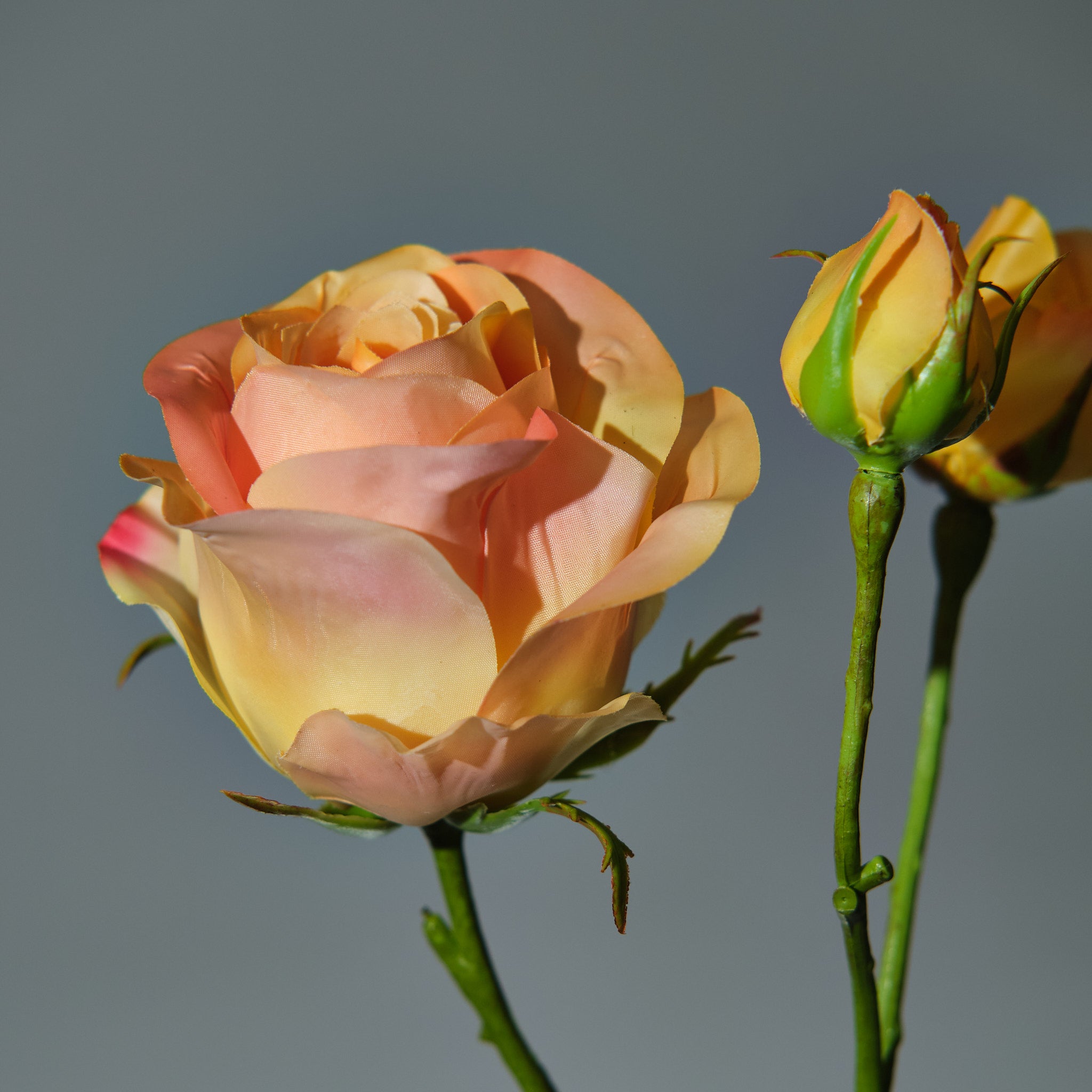 Konstgjord Ros i färgen gul med Knoppar. Bilden visar en detaljbild - FLORISSMA
