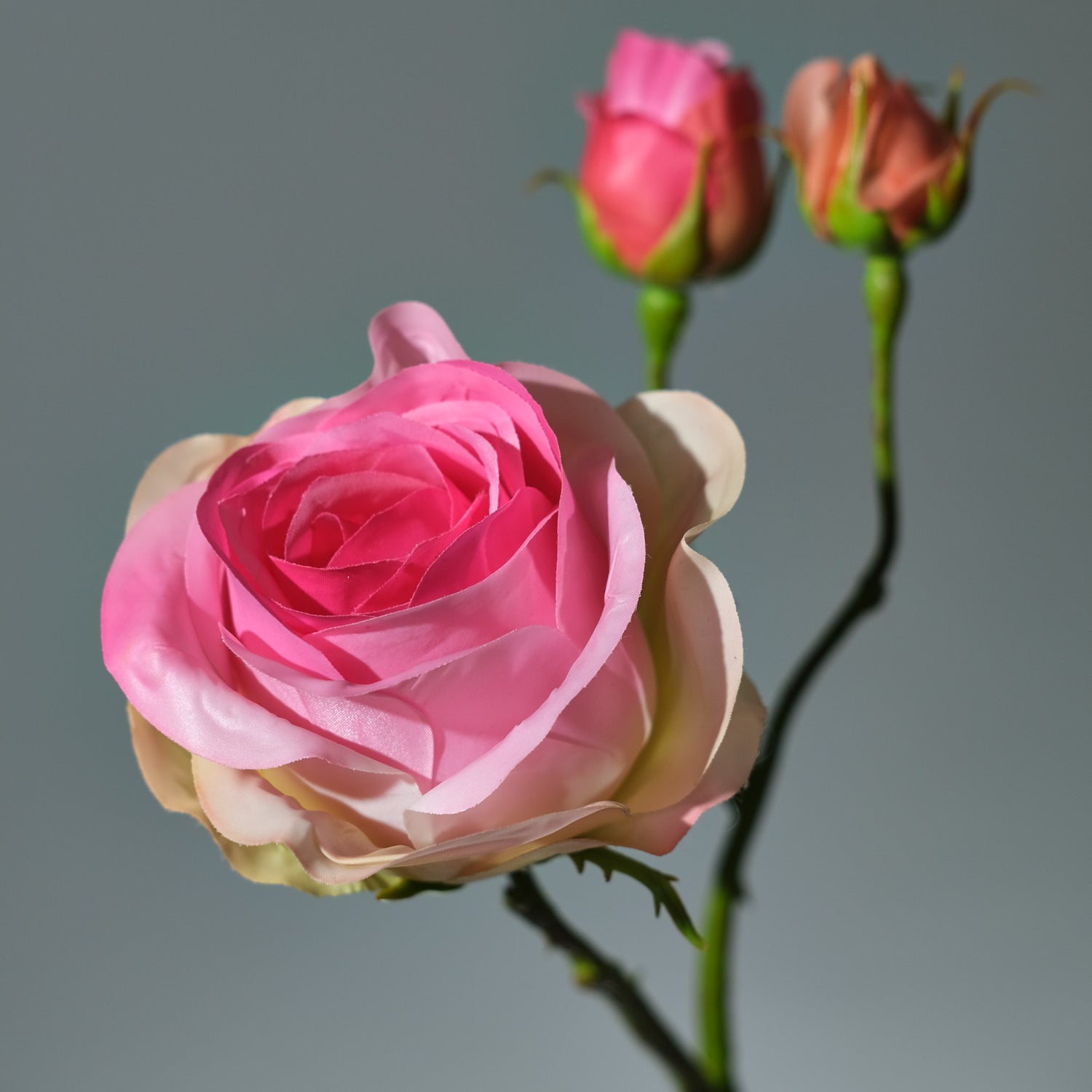 Konstgjord Ros i färgen rosa med Knoppar. Bilden visar detaljbild - FLORISSMA
