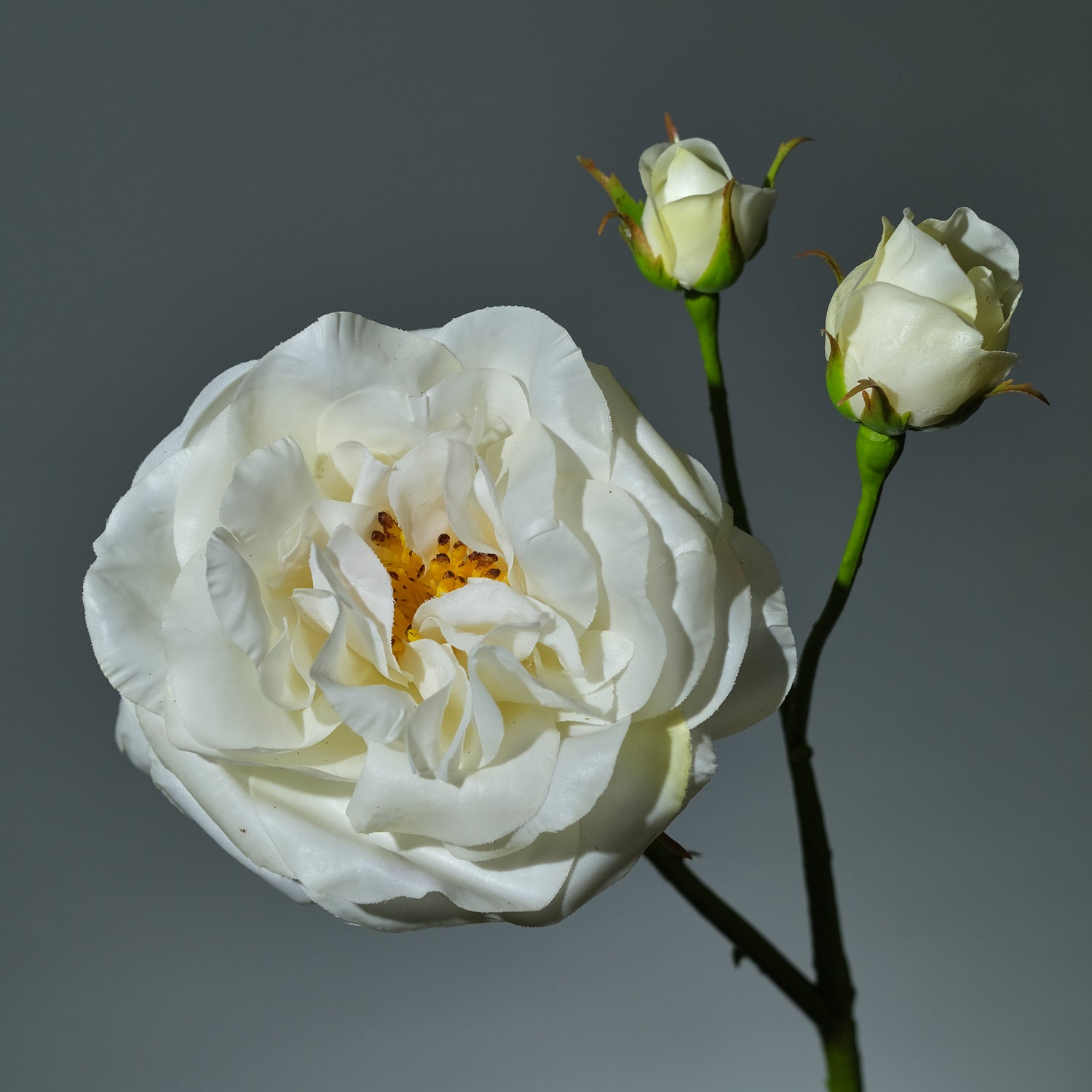 Konstgjord Ros i färgen vit Utslagen med Knoppar. Bilden visar en detaljbild - FLORISSMA