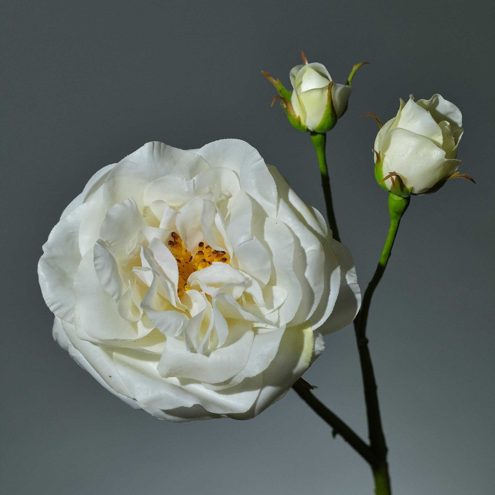 Konstgjord Ros i färgen vit Utslagen med Knoppar. Bilden visar en detaljbild - FLORISSMA