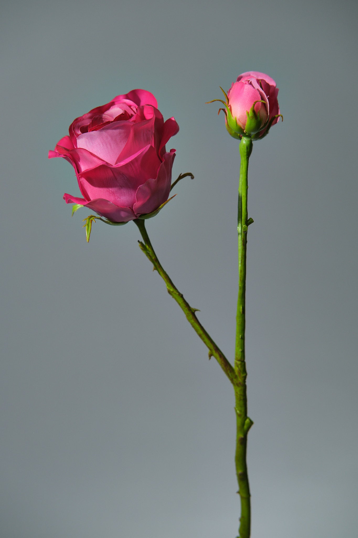 Konstgjord Ros i färgen beauty med Knoppar. Bilden är tagen från sidan - FLORISSMA
