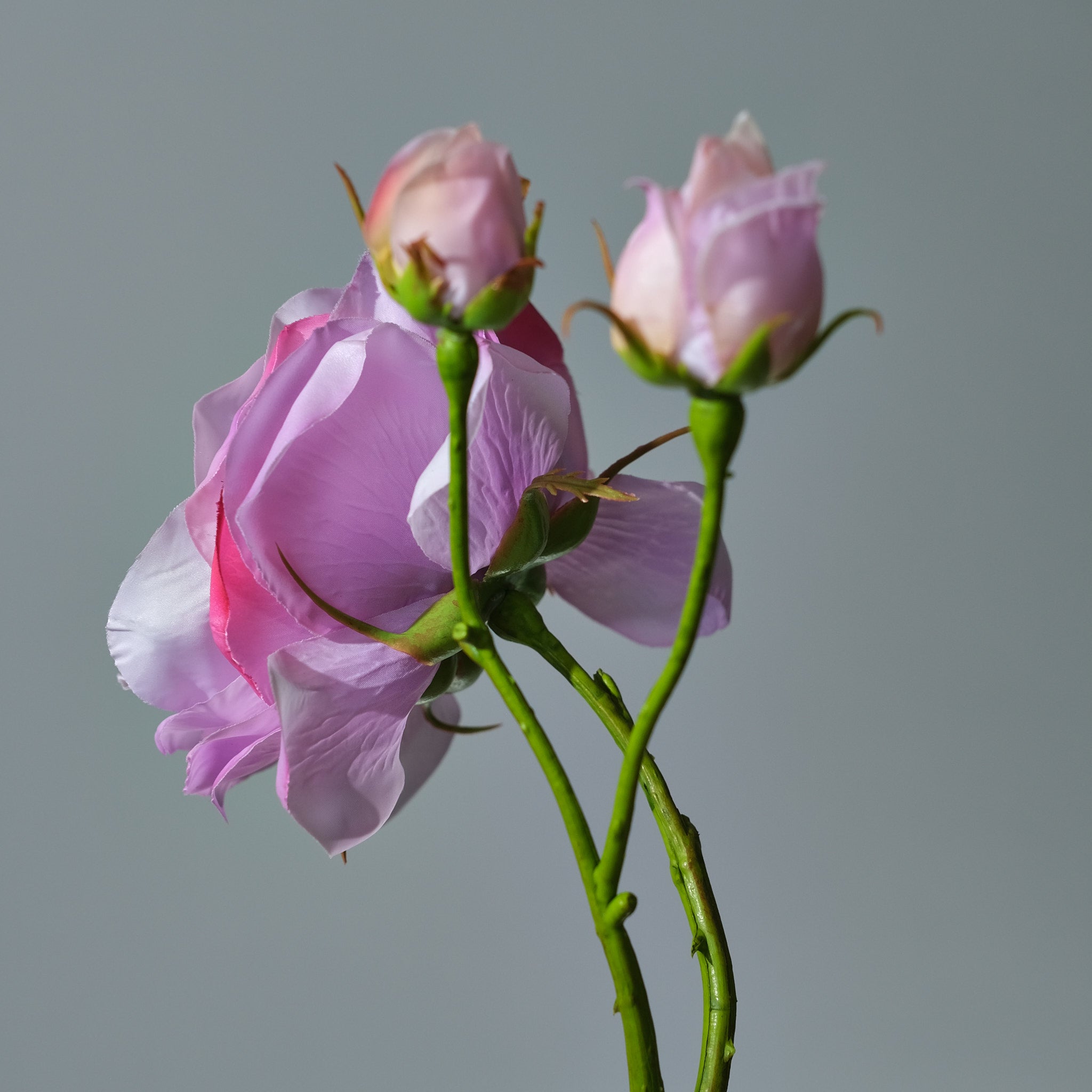 Konstgjord Ros i färgen lavendel Utslagen med Knoppar. Bilden visar en detaljbild - FLORISSMA