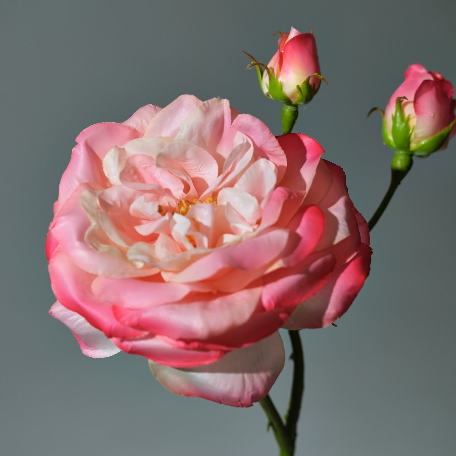 Konstgjord Ros i färgen rosa Utslagen med Knoppar. Bilden visar en närbild - FLORISSMA