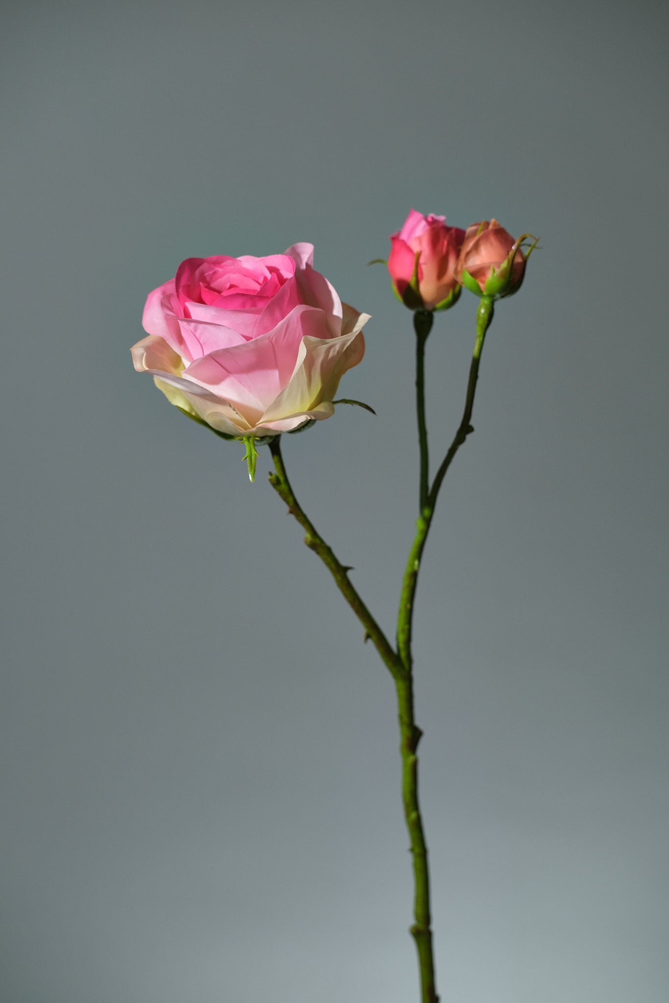 Konstgjord Ros i färgen rosa med Knoppar. Bilden visar ros från sidan- FLORISSMA