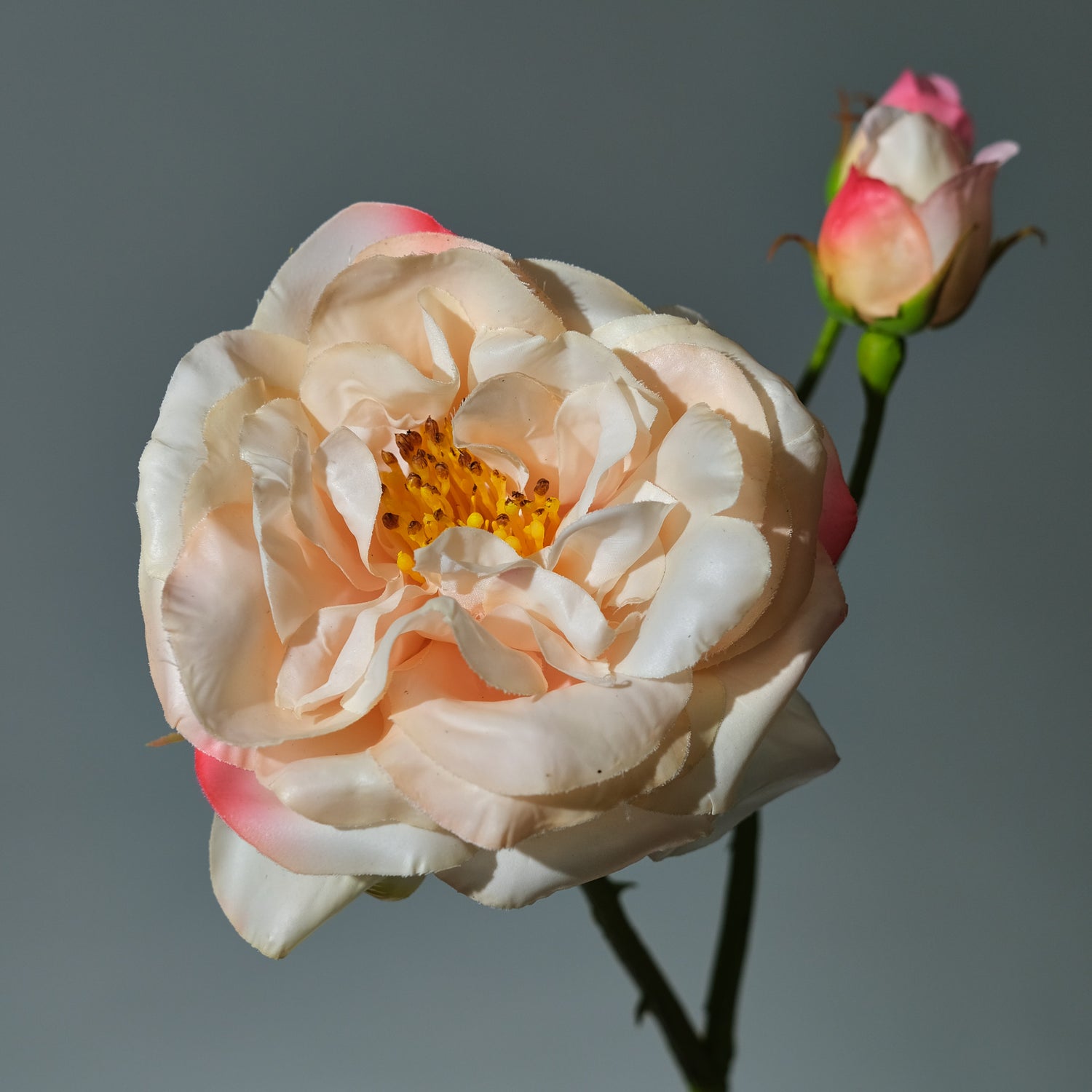 Konstgjord Ros i färgen persika Utslagen med Knoppar. Bilden visar en närbild - FLORISSMA