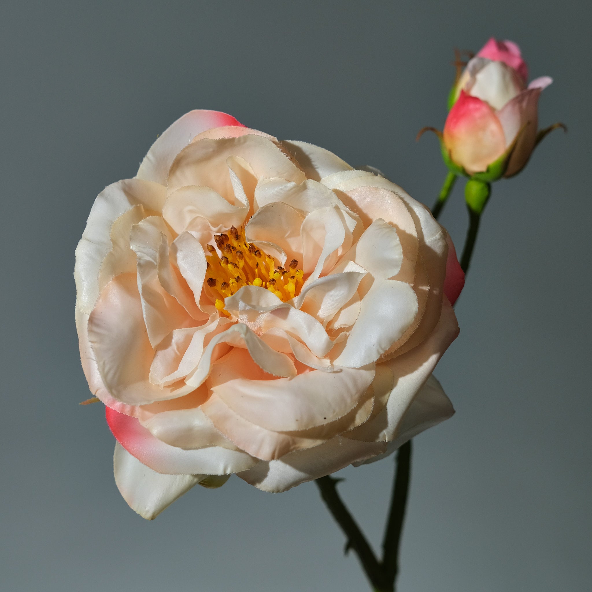 Konstgjord Ros i färgen persika Utslagen med Knoppar. Bilden visar en närbild - FLORISSMA