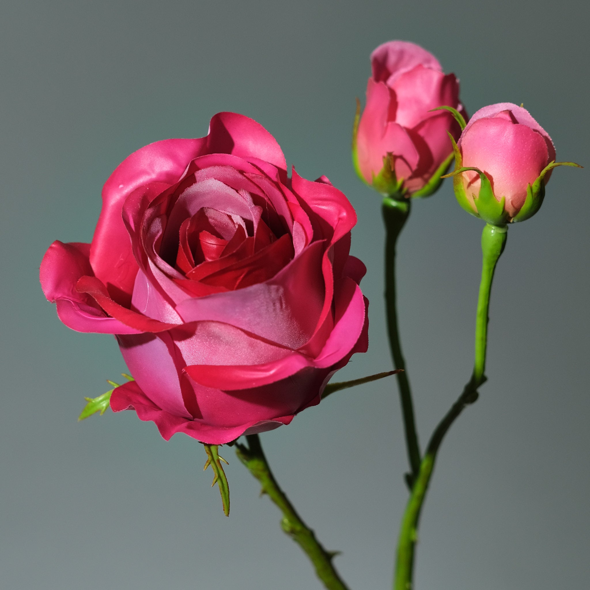 Konstgjord Ros i färgen beauty med Knoppar. Bilden är en detaljbild - FLORISSMA
