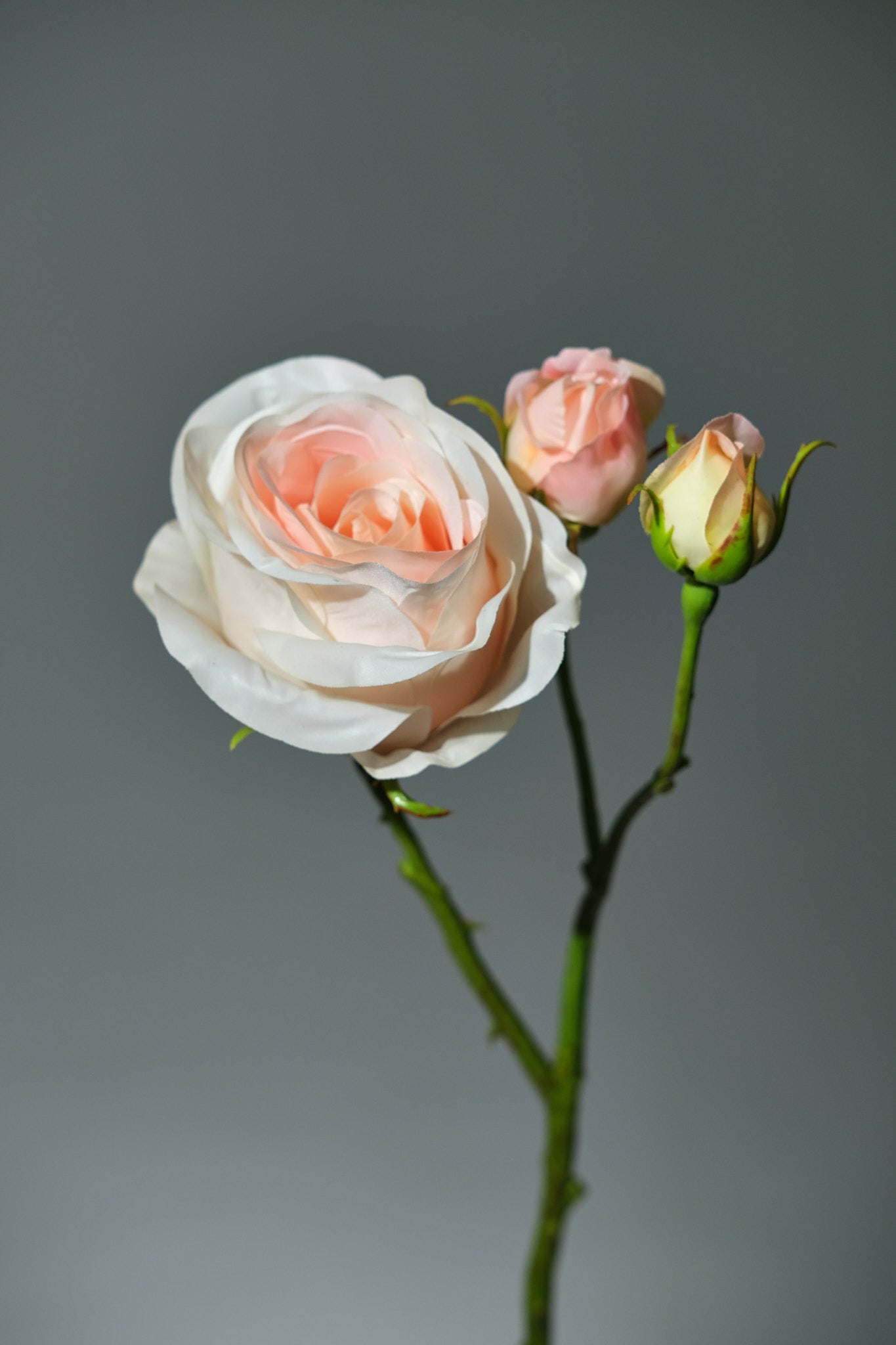 Konstgjord Ros i färgen persika med Knoppar. Bilden visar en närbild med knoppar - FLORISSMA