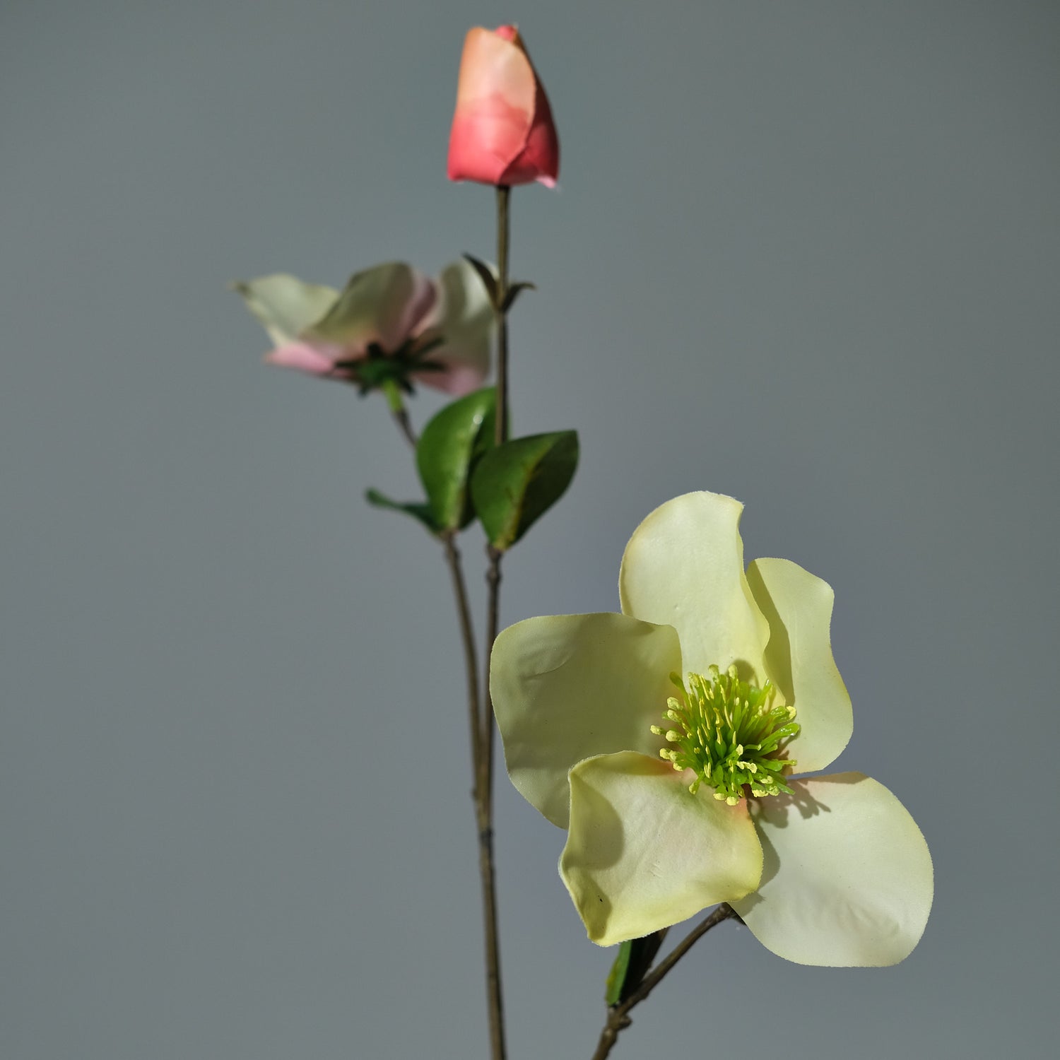 Julros Persika/Grön - FLORISSMA