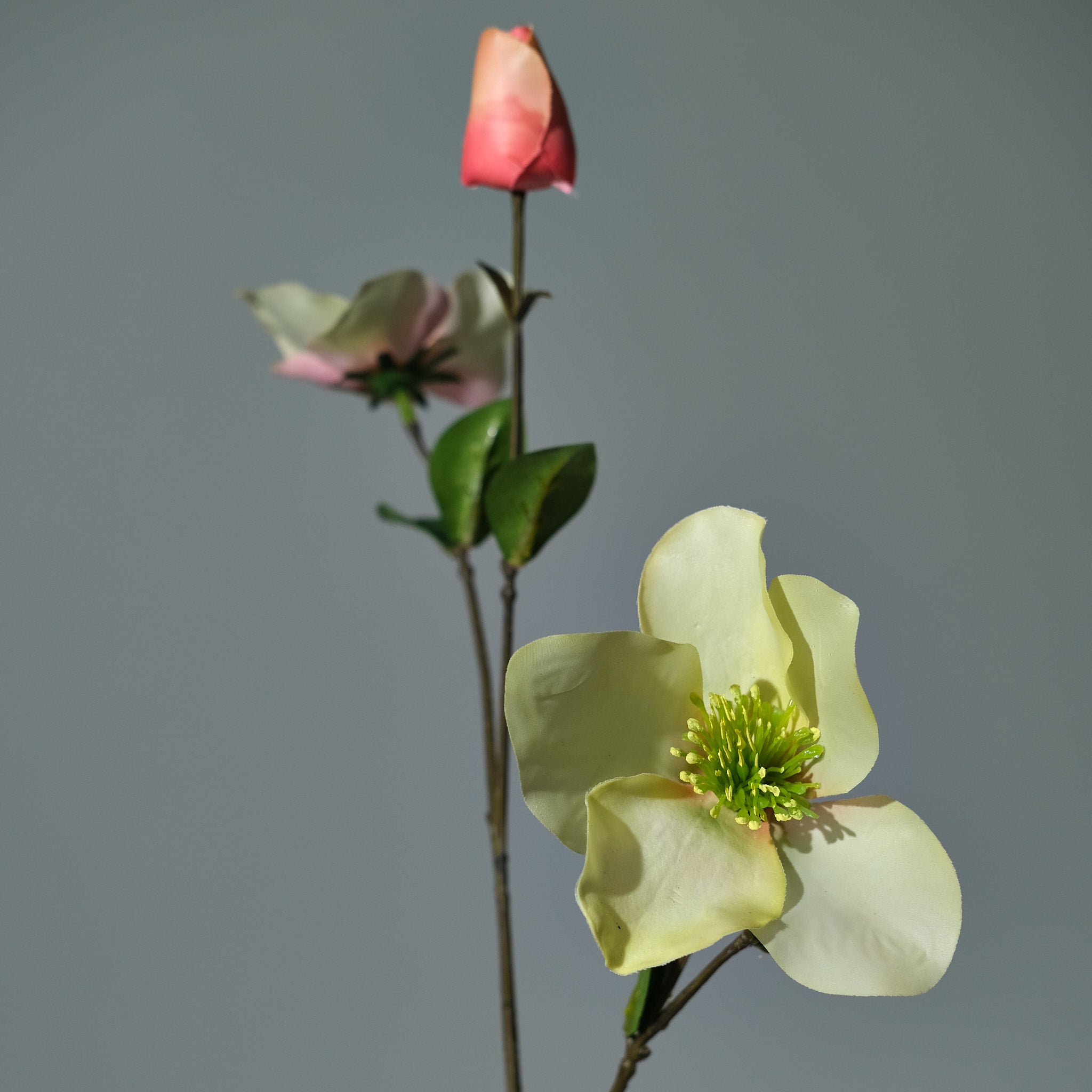 Julros Persika/Grön - FLORISSMA