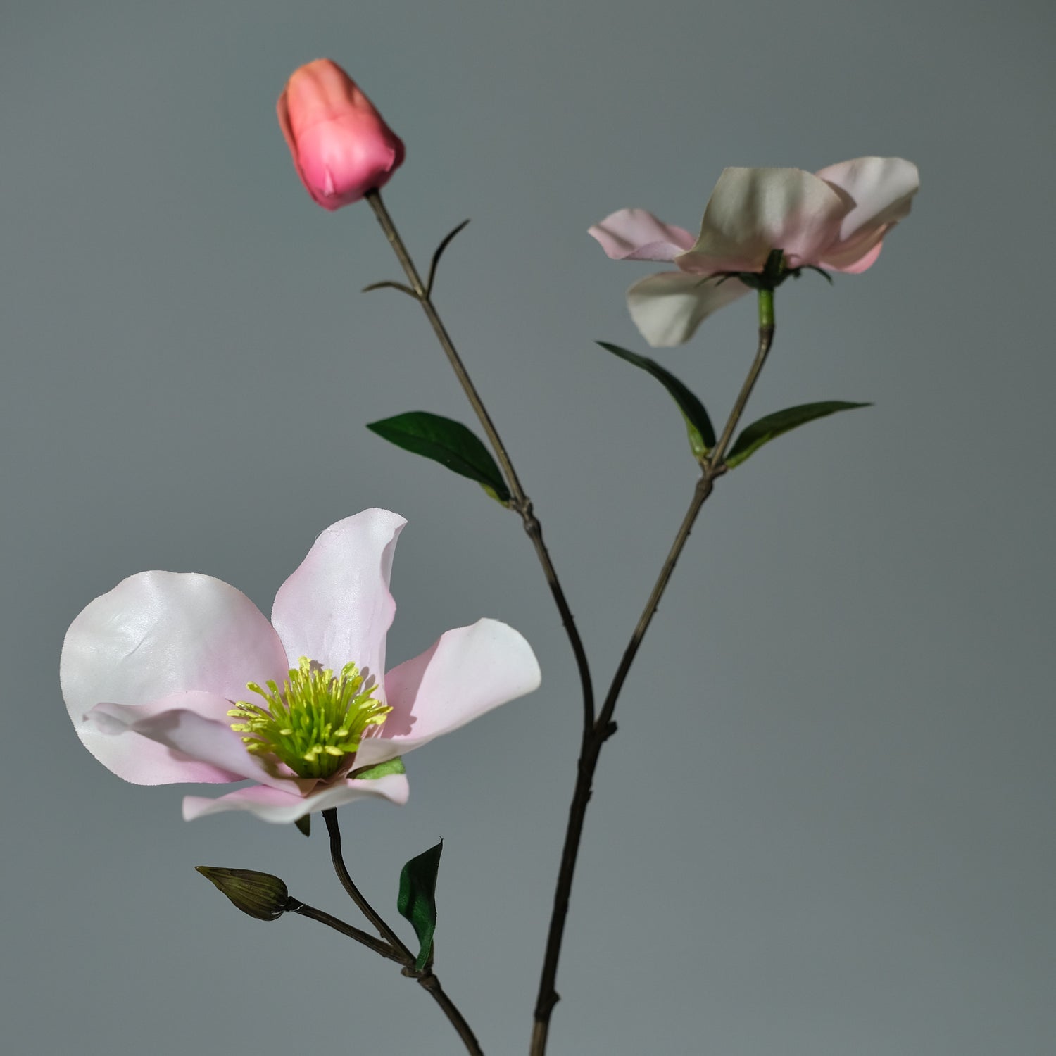 Julros Rosa - FLORISSMA