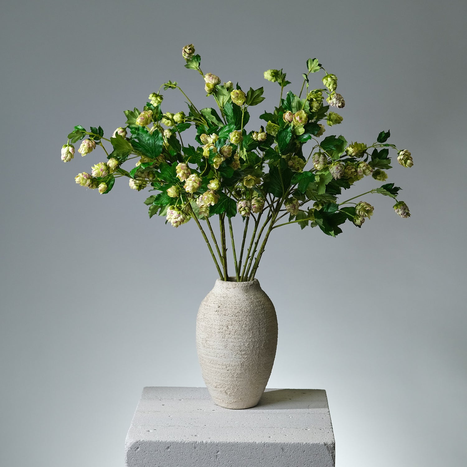 Humle Grön/Lavendel - FLORISSMA