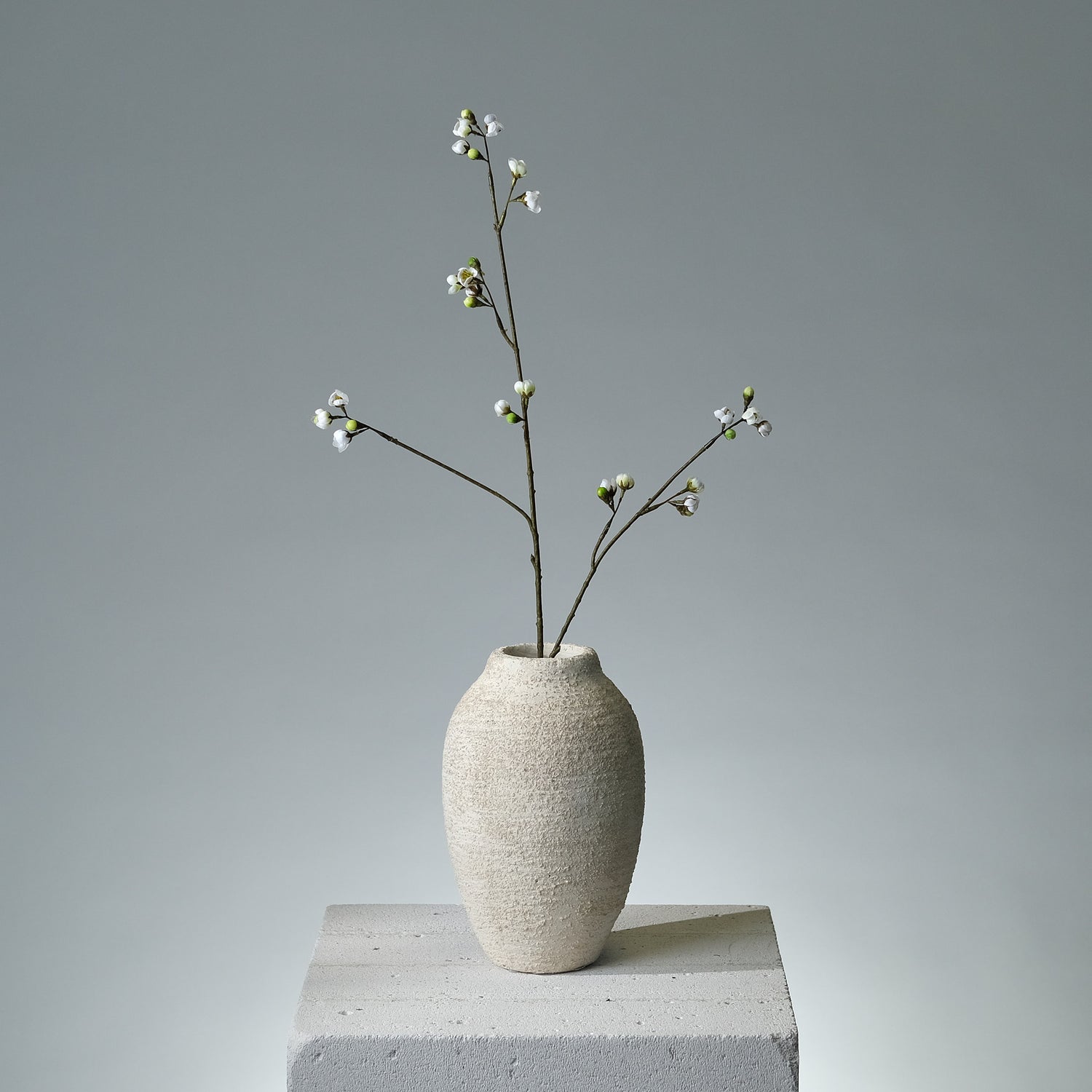 Körsbärsblomma Cremé - FLORISSMA