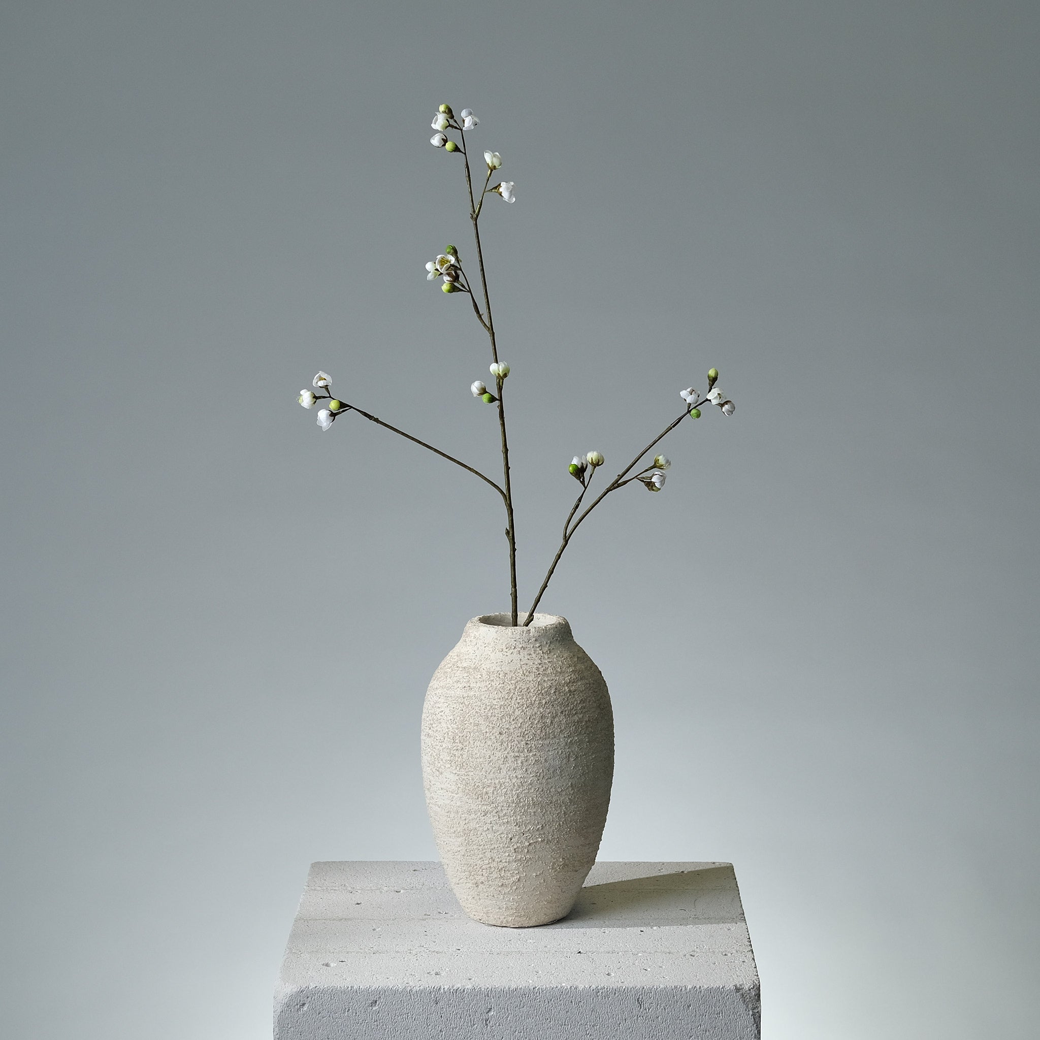 Körsbärsblomma Cremé - FLORISSMA