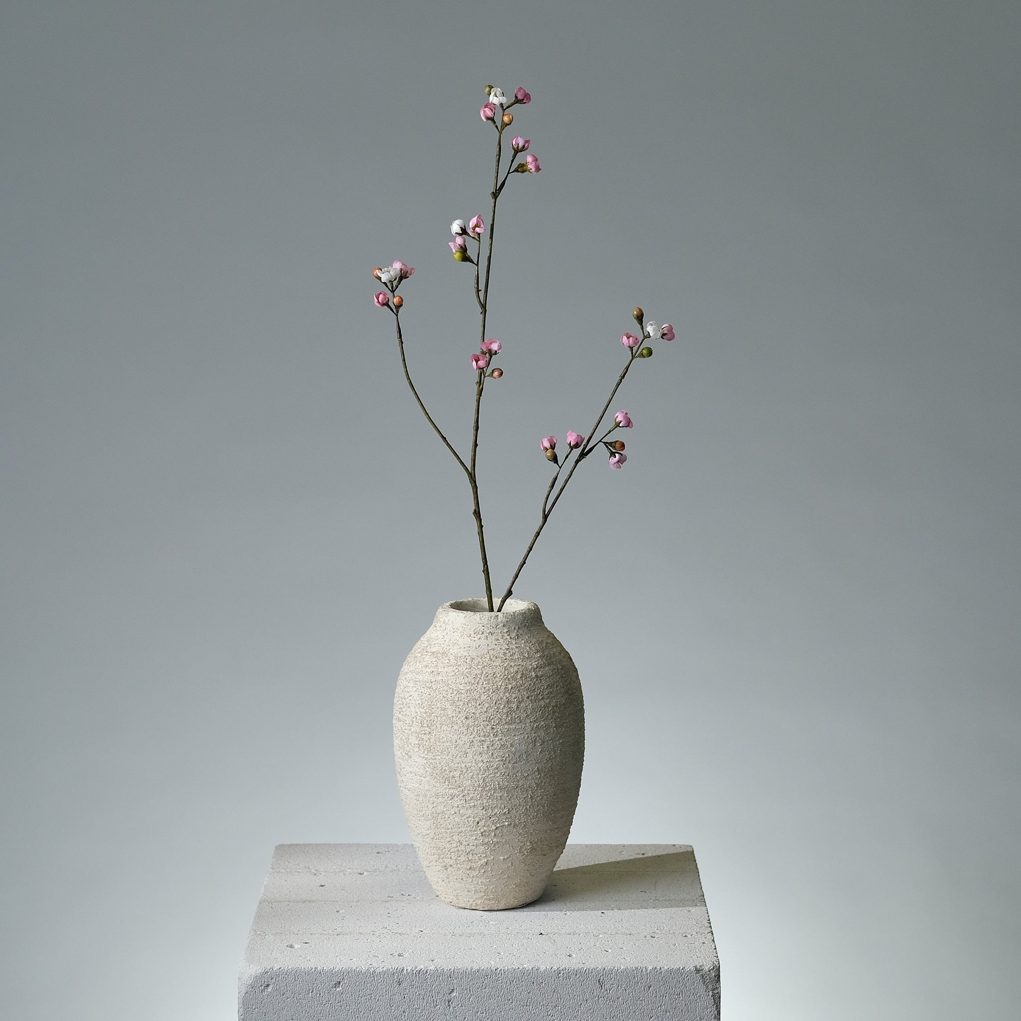 Körsbärsblomma Rosa - FLORISSMA