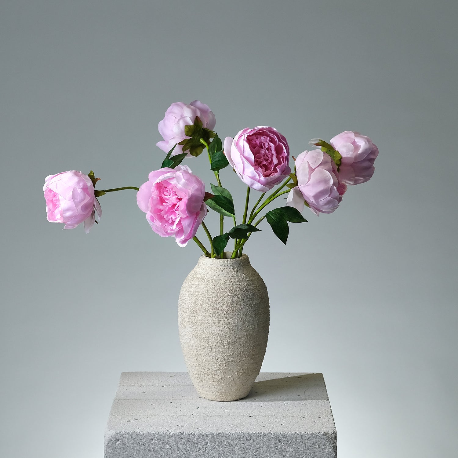 Pion Rosa - FLORISSMA