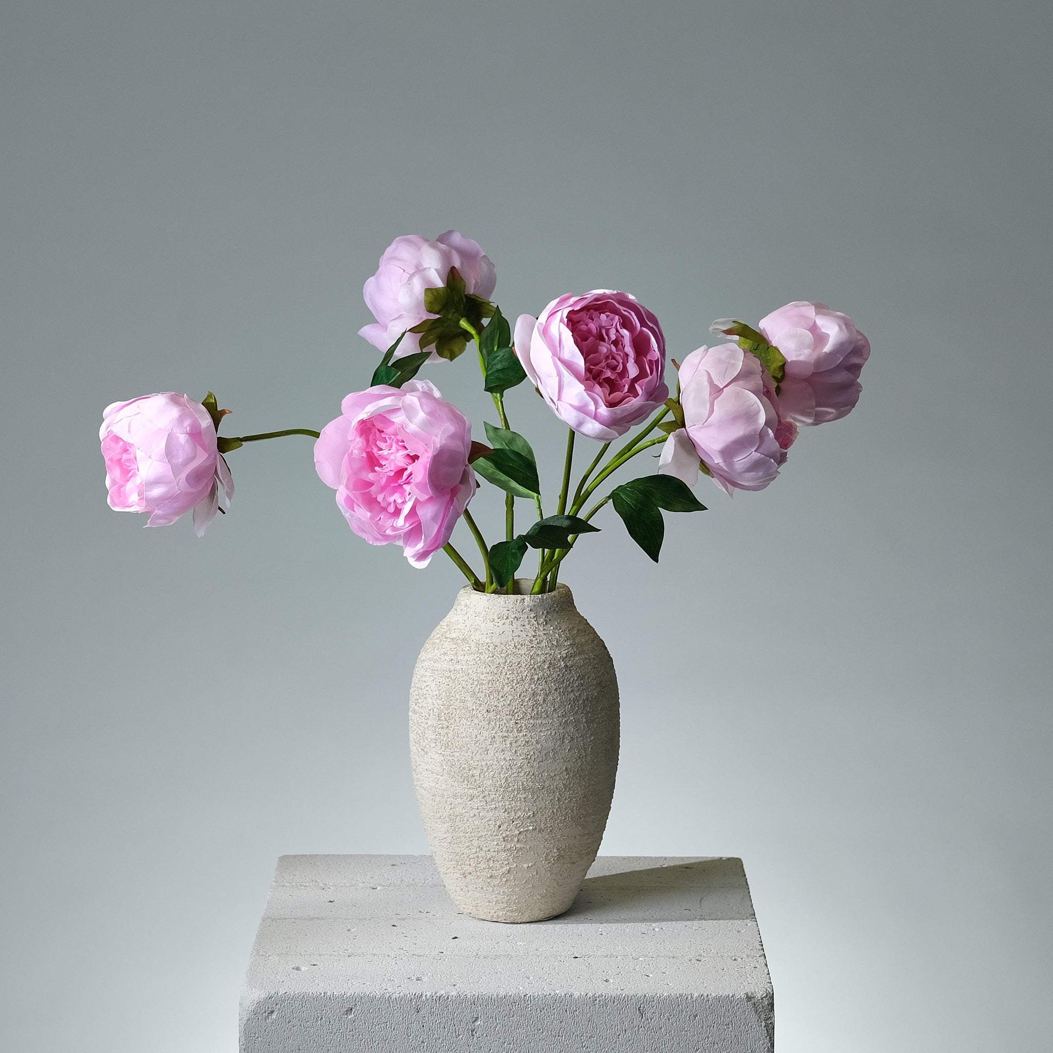 Pion Rosa - FLORISSMA