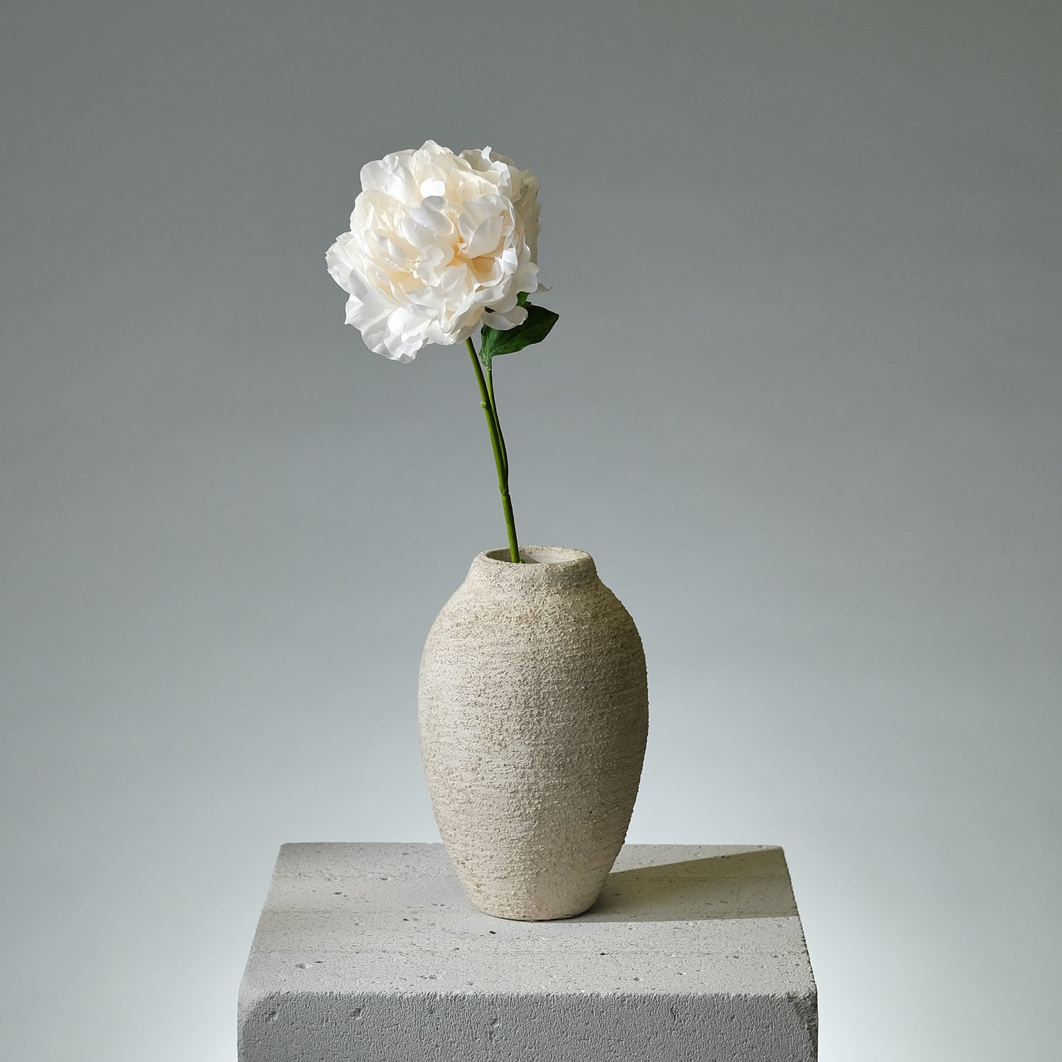 Pion Cremé Utslagen - FLORISSMA