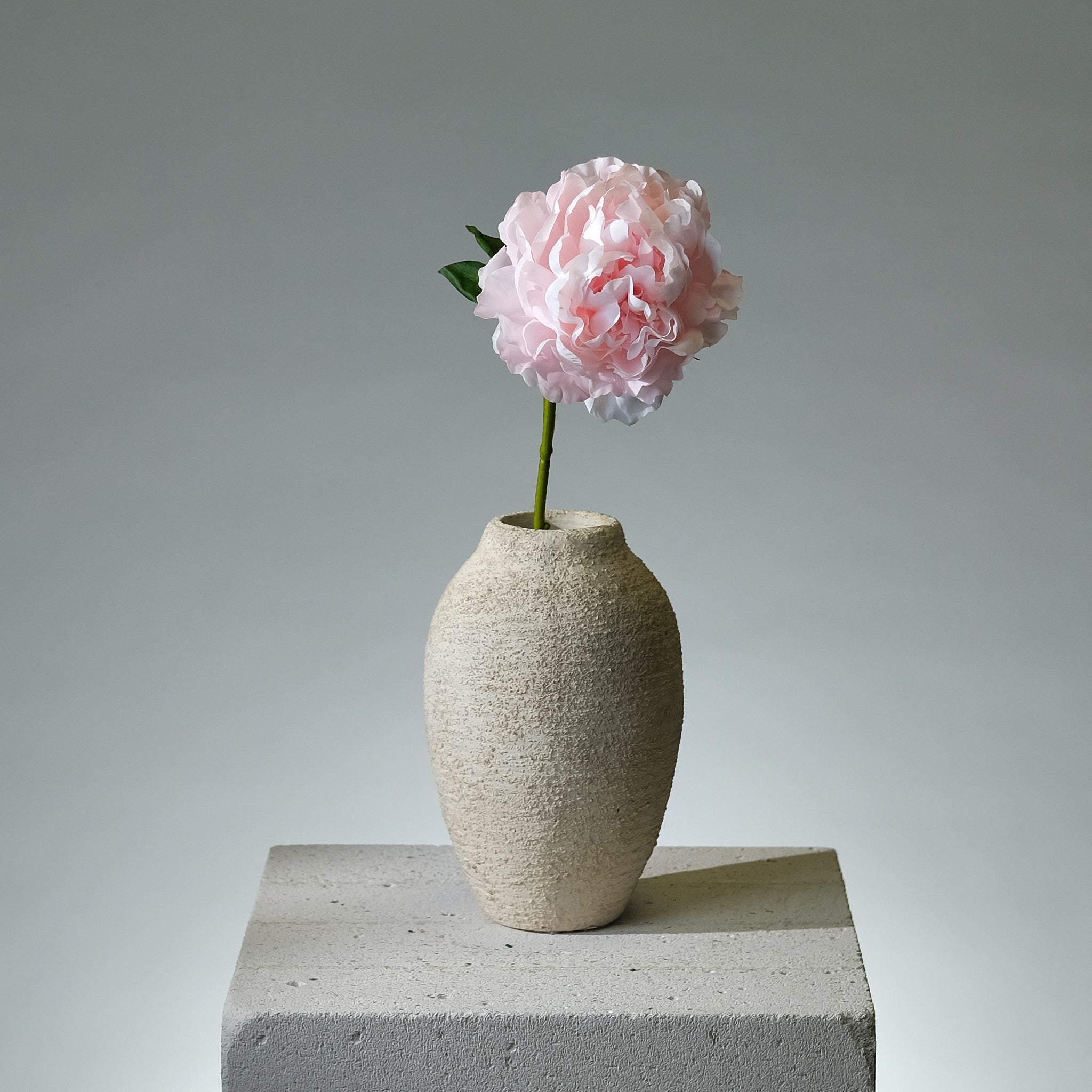 Pion Ljusrosa Utslagen - FLORISSMA