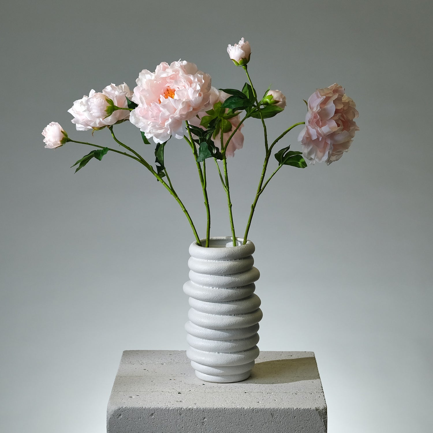 Pion Rosa med Knopp - FLORISSMA