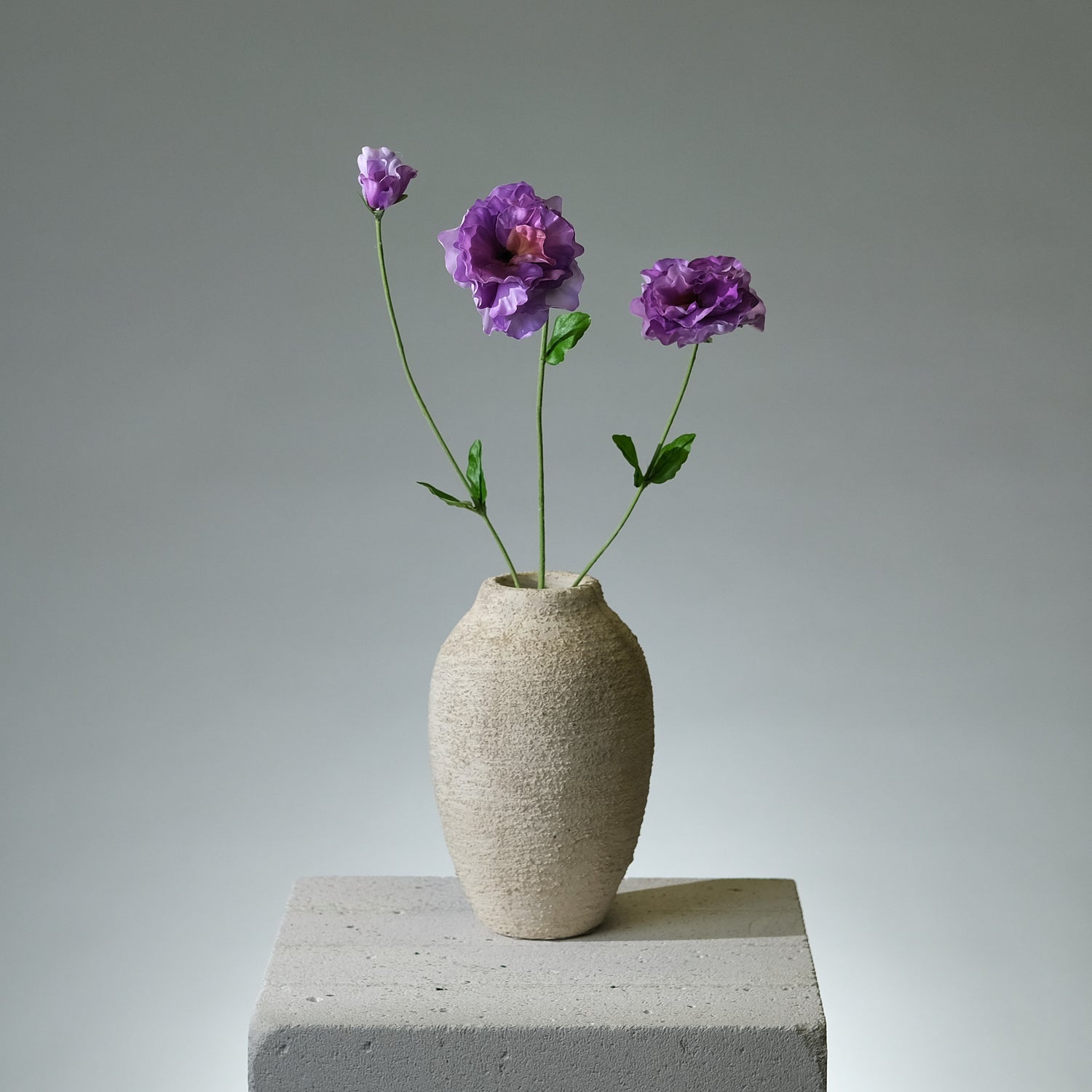 Pensé Lavendel - FLORISSMA
