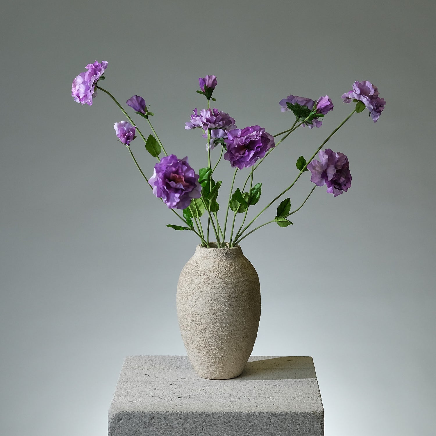 Pensé Lavendel - FLORISSMA