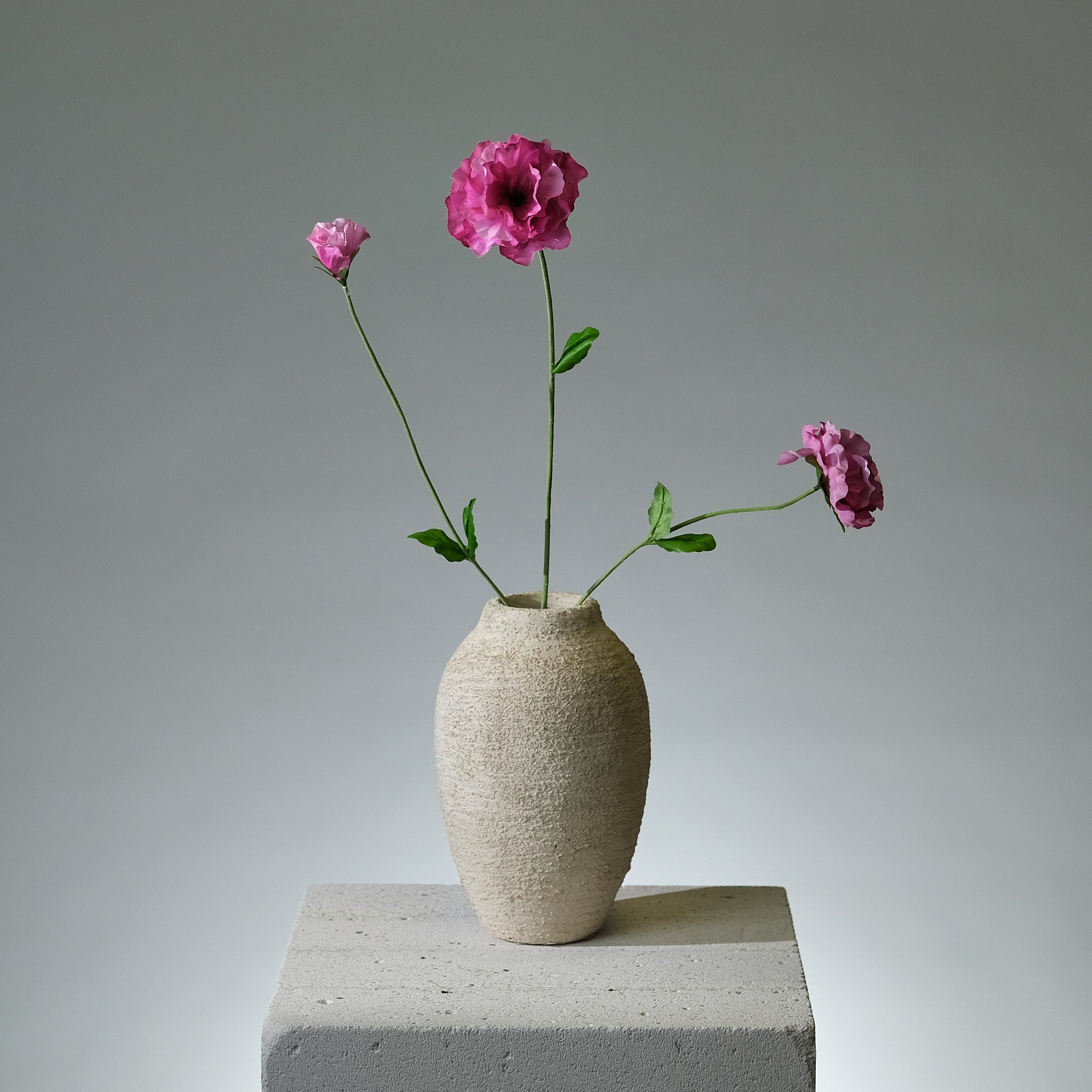 Pensé Beauty - FLORISSMA