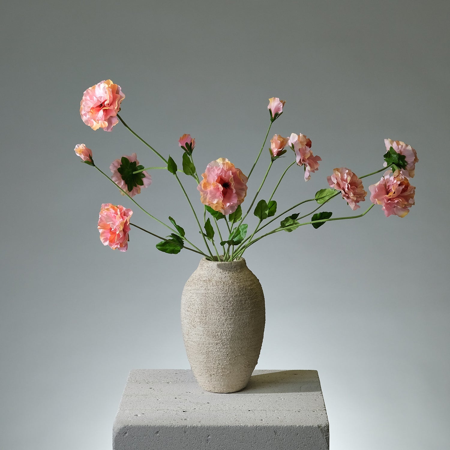 Pensé Salmon - FLORISSMA