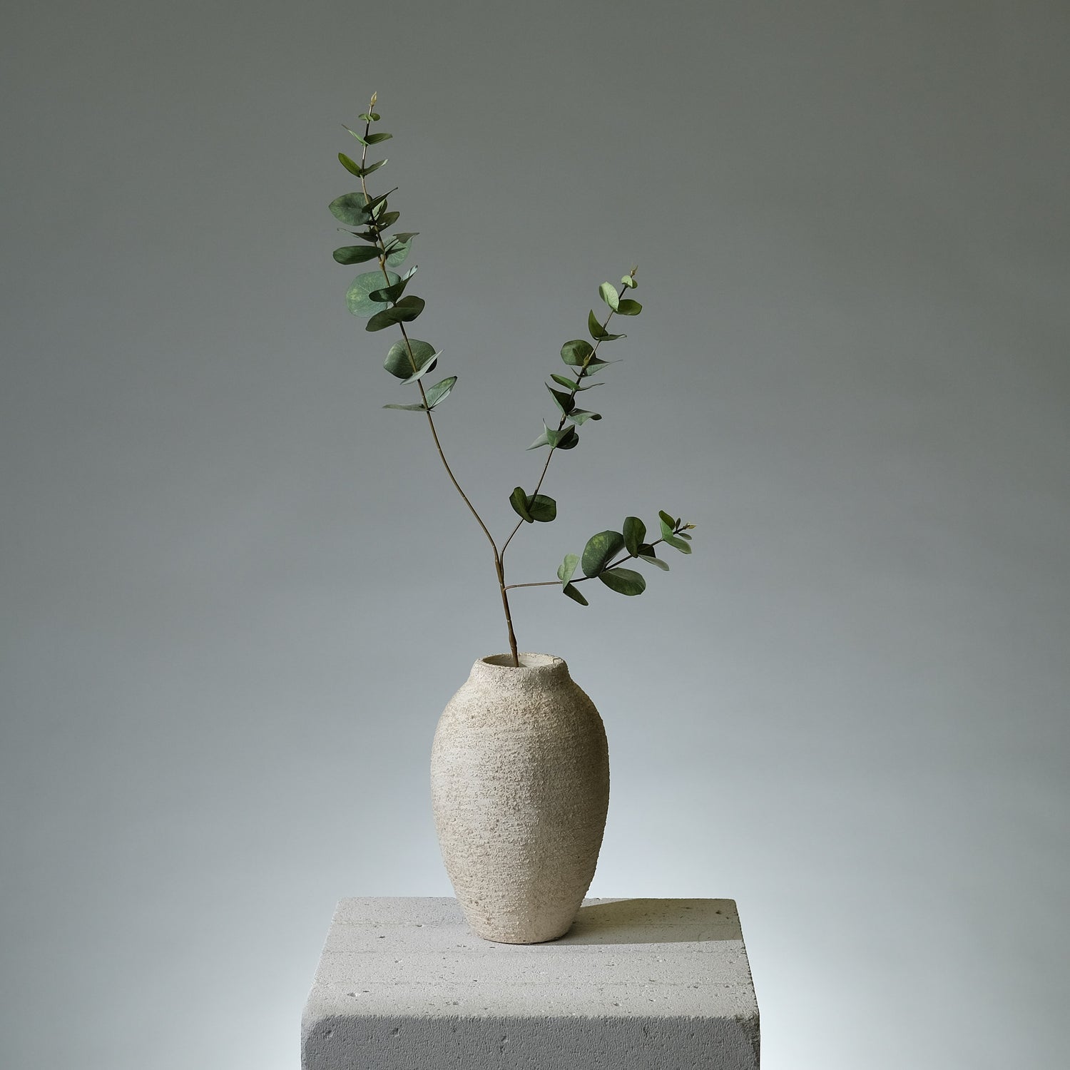 Eukalyptus Kvist Grön Runda Blad - FLORISSMA