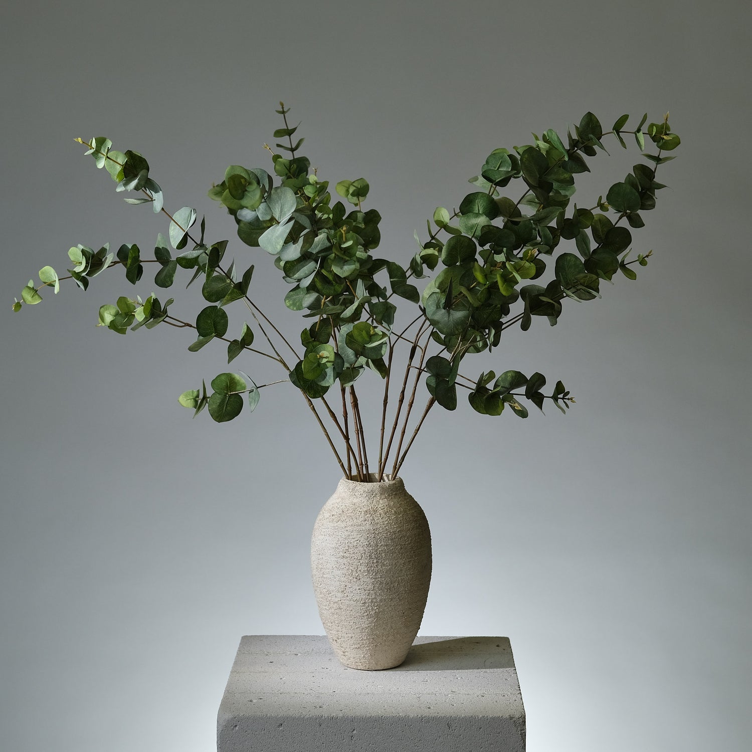 Eukalyptus Kvist Grön Runda Blad - FLORISSMA