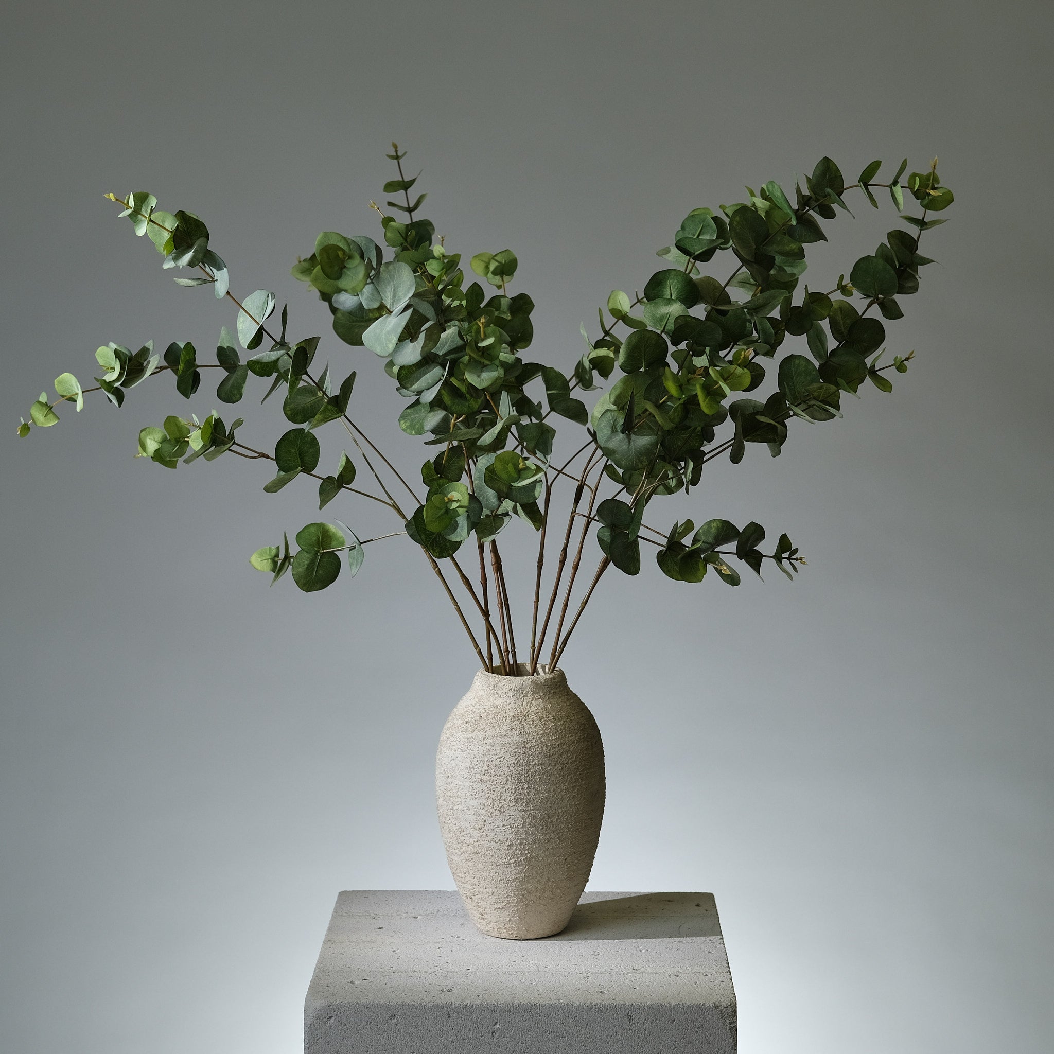 Eukalyptus Kvist Grön Runda Blad - FLORISSMA