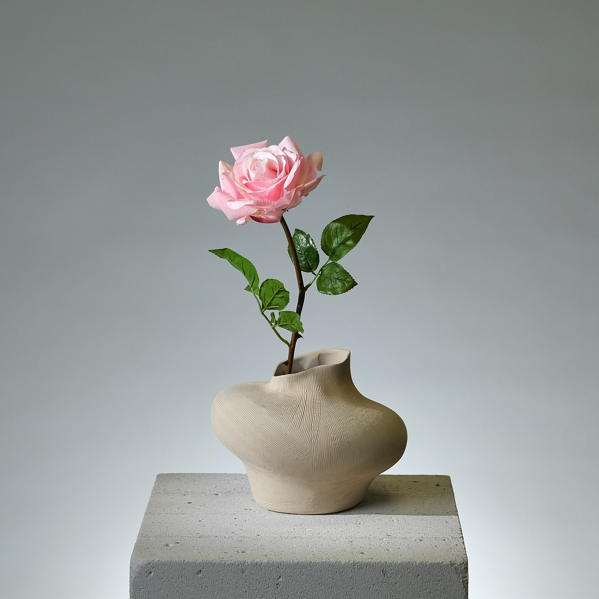 Ros Rosa - FLORISSMA