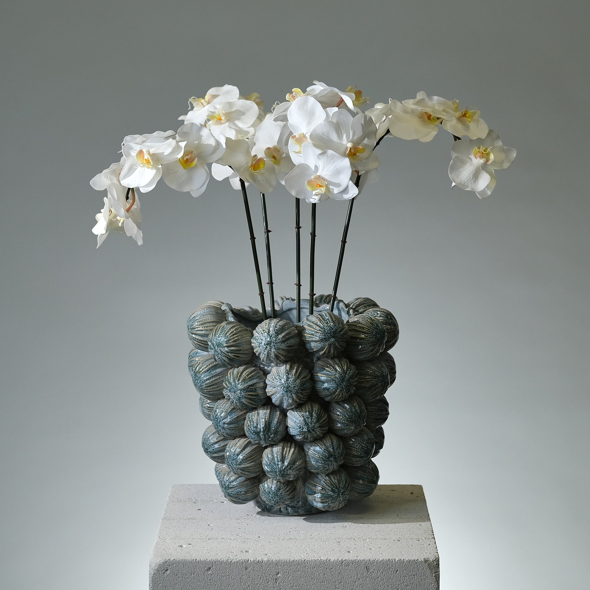Orkidé Vit - FLORISSMA