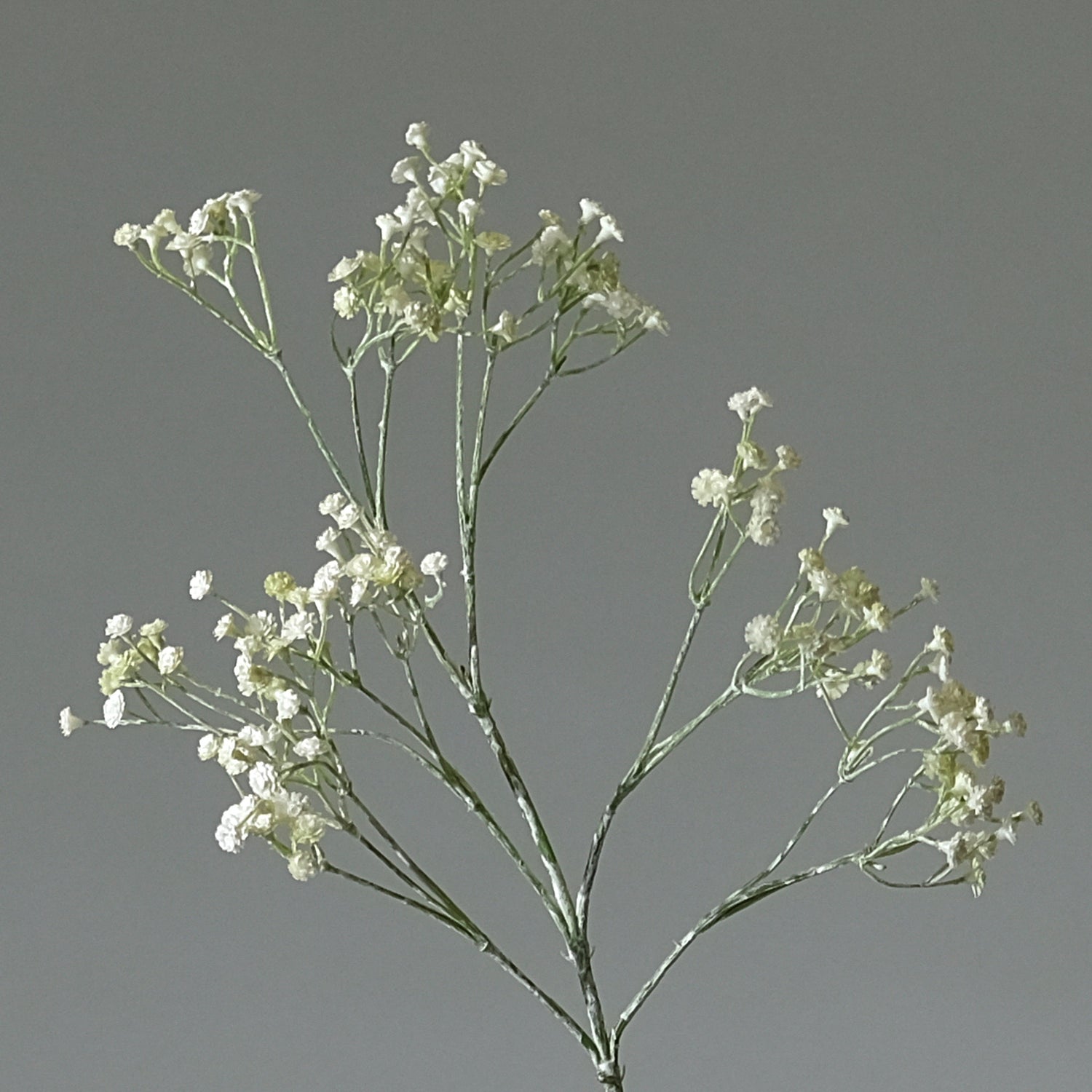 Brudslöja Vit - FLORISSMA