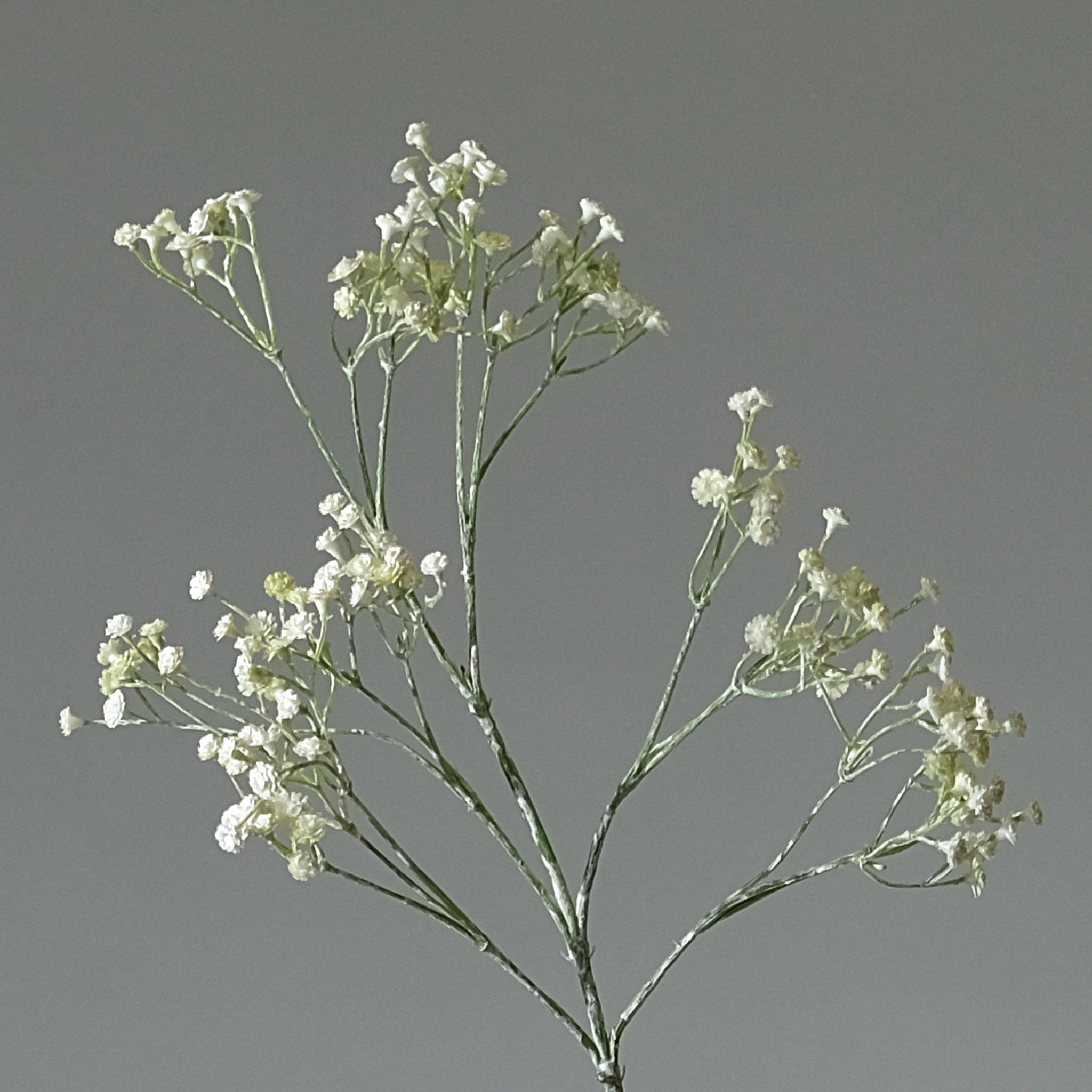 Brudslöja Vit - FLORISSMA
