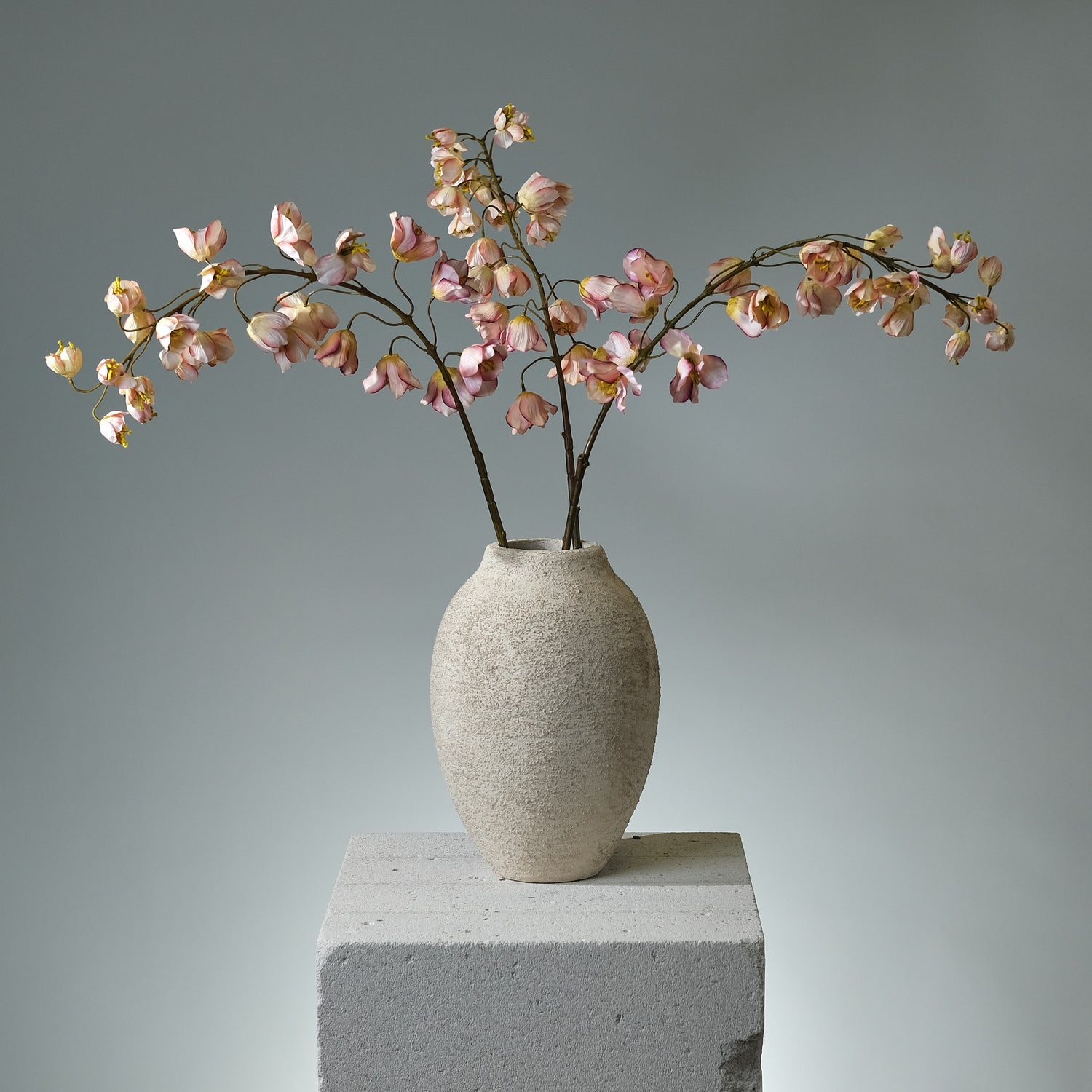 Kungsängslilja Creme/Rosa - FLORISSMA