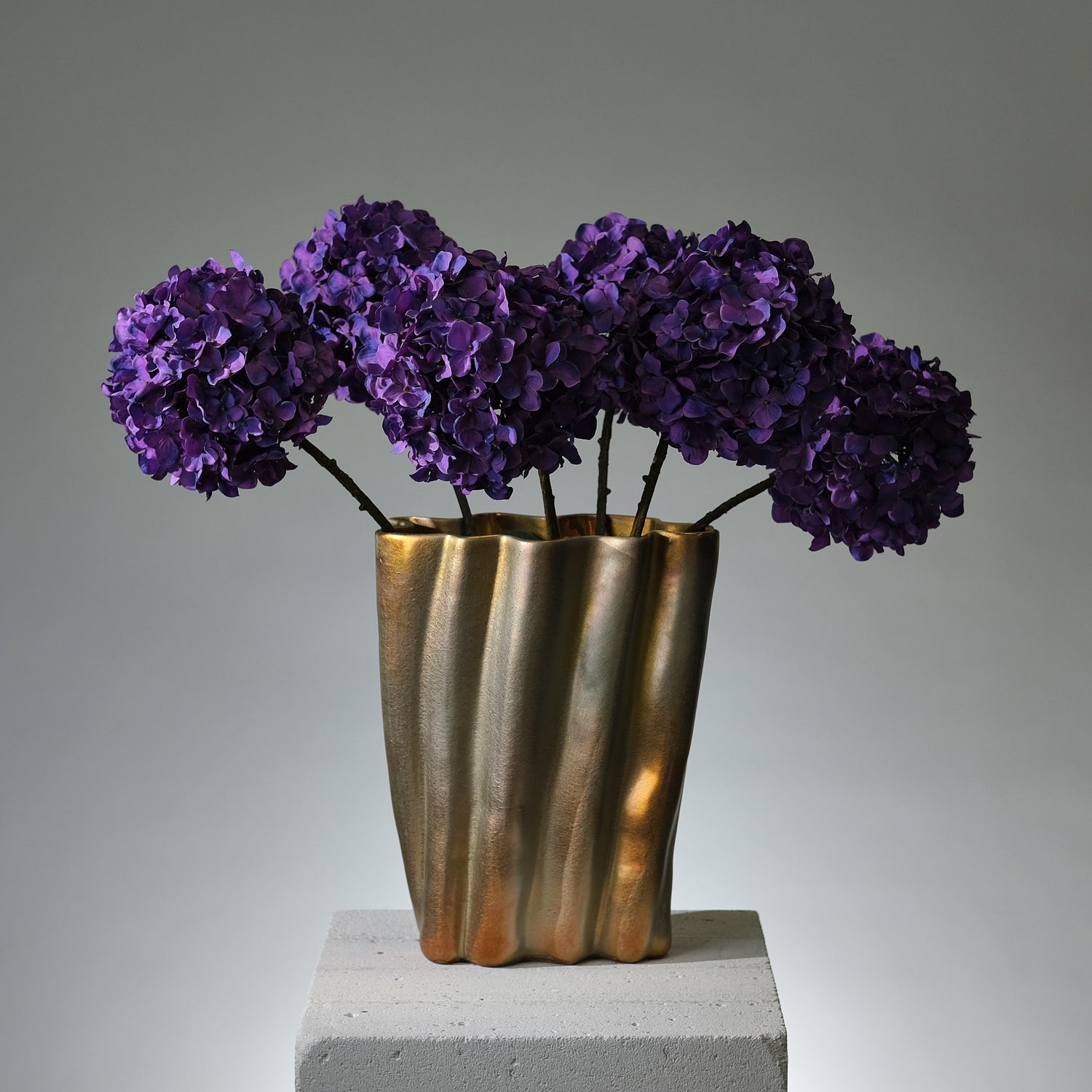 Hortensia Lila - FLORISSMA