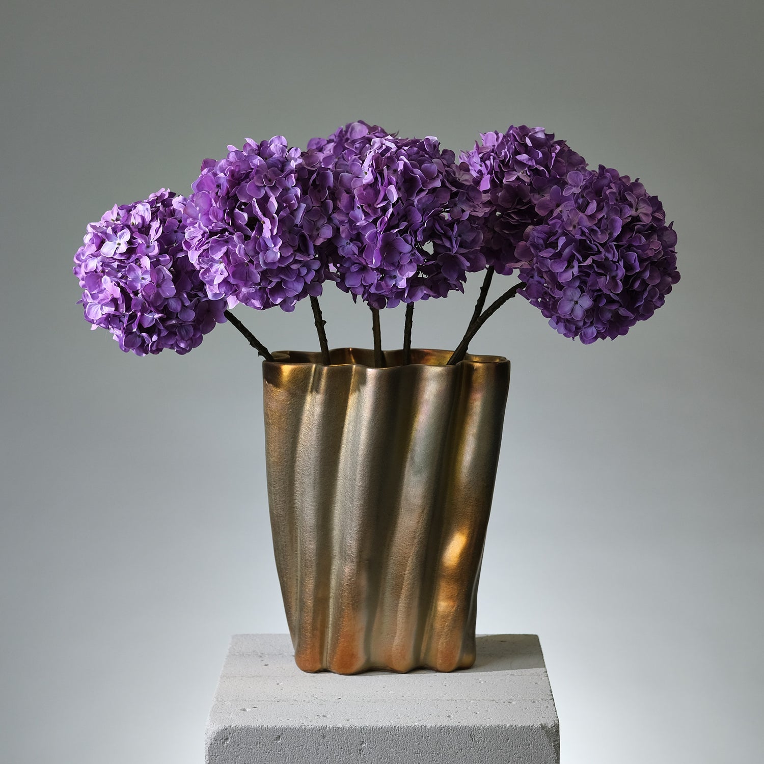 Hortensia Lavendel - FLORISSMA