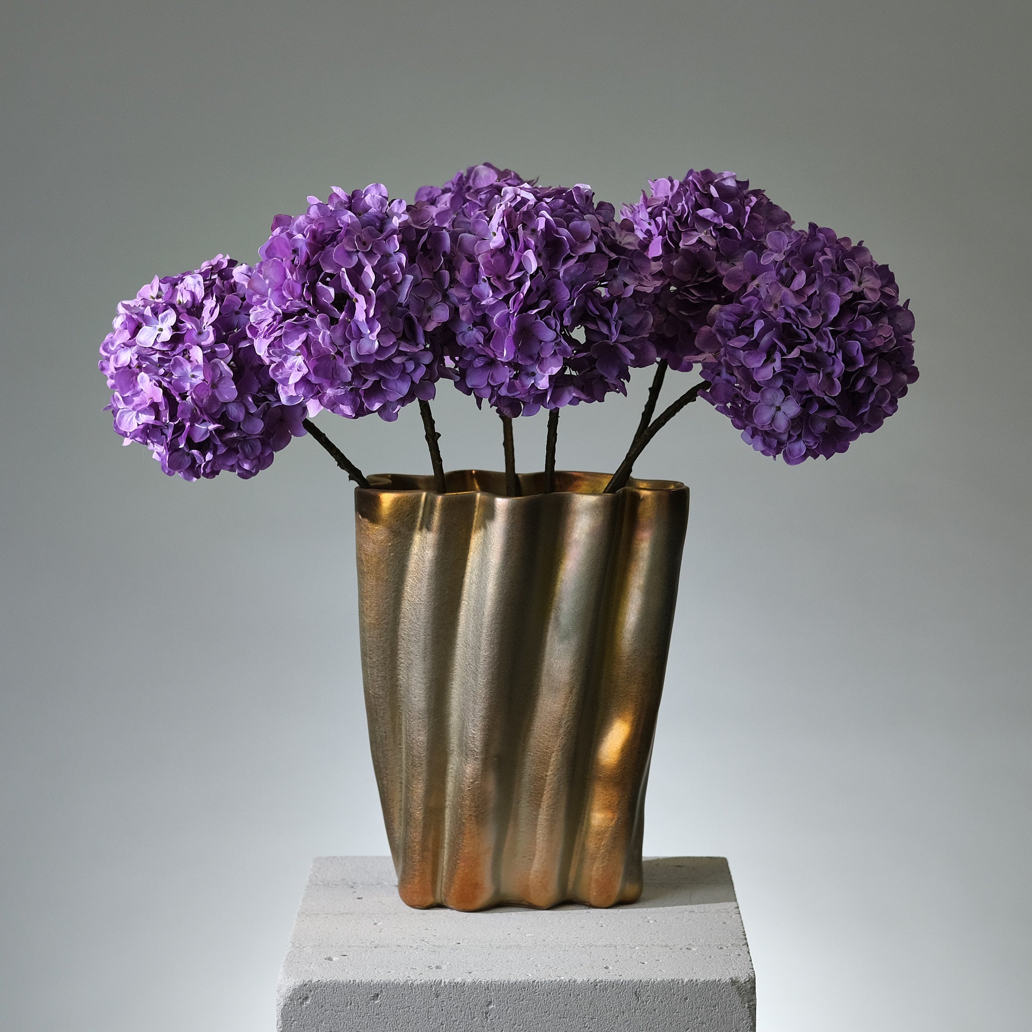 Hortensia Lavendel - FLORISSMA