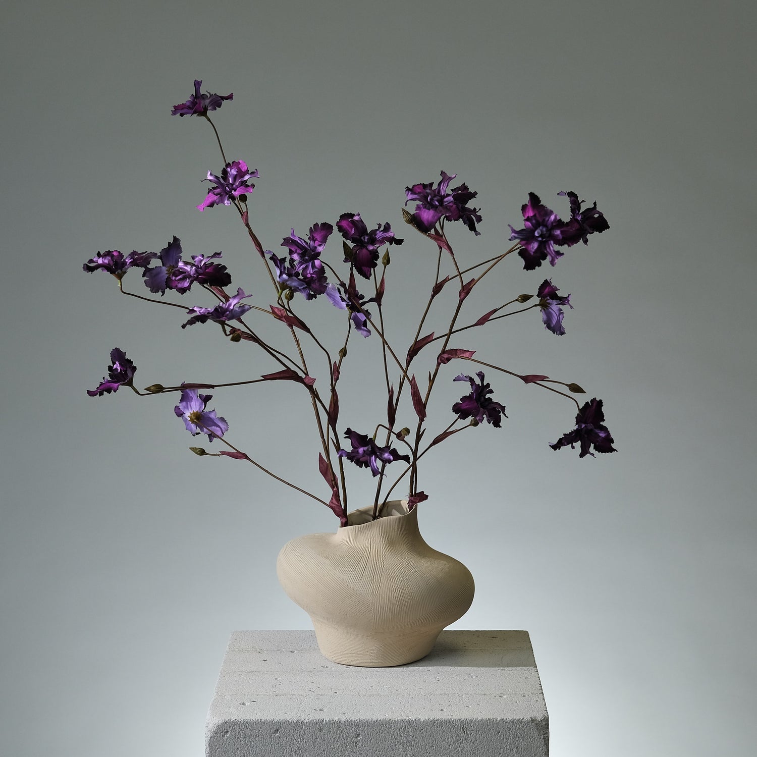 Iris Lavendel - FLORISSMA
