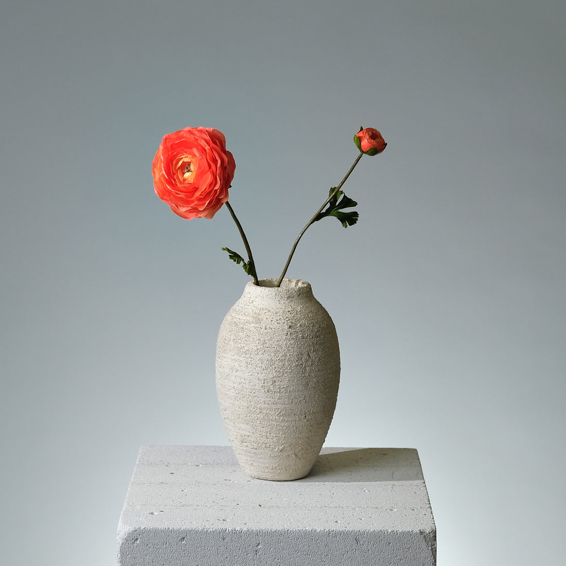 Ranunkel Orange - FLORISSMA