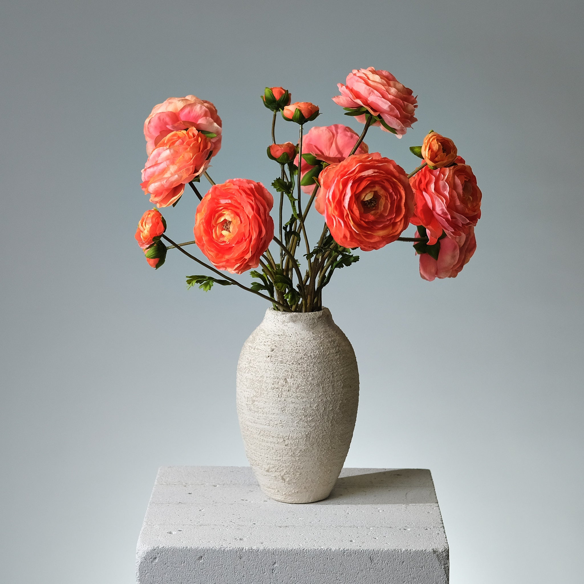 Ranunkel Orange - FLORISSMA