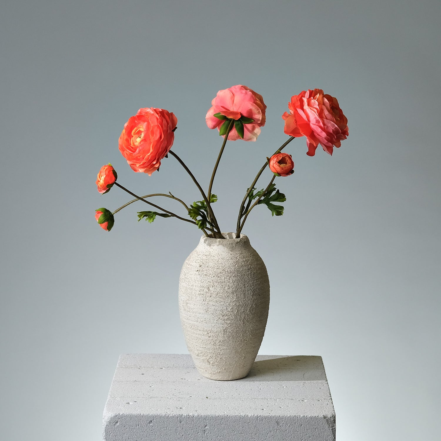 Ranunkel Orange - FLORISSMA