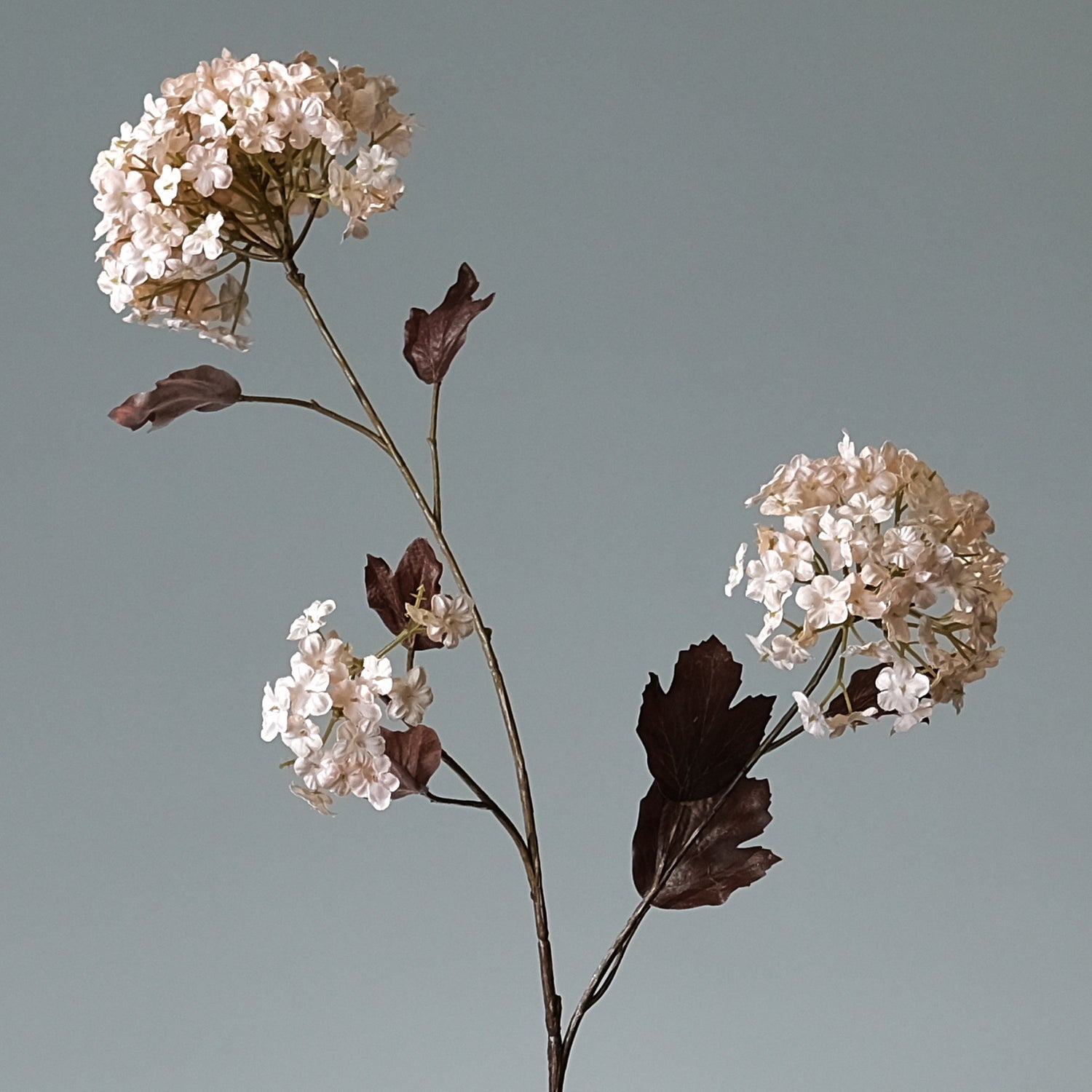 Snöboll "Snowball" Persika - FLORISSMA