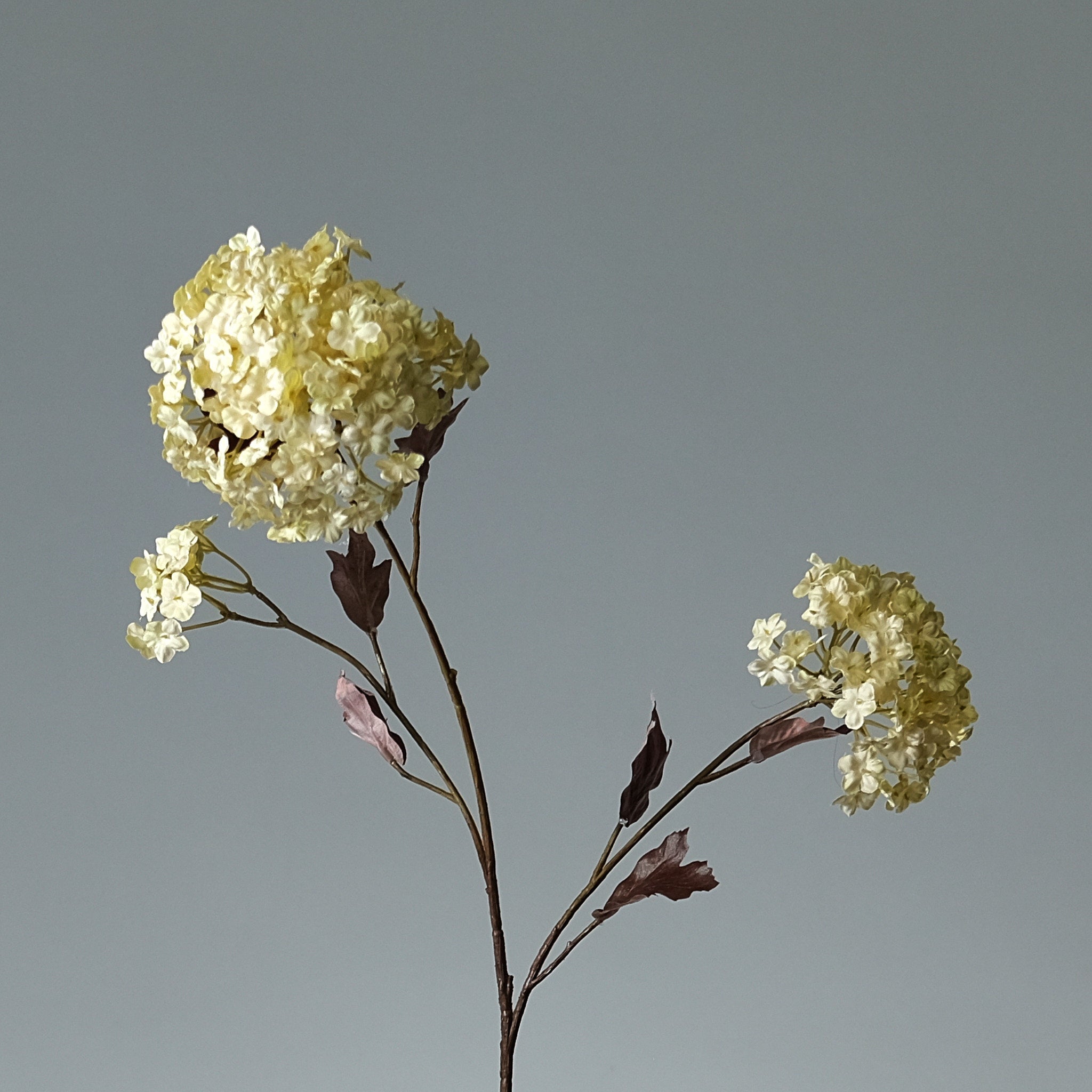 Snöboll "Snowball" Grön - FLORISSMA